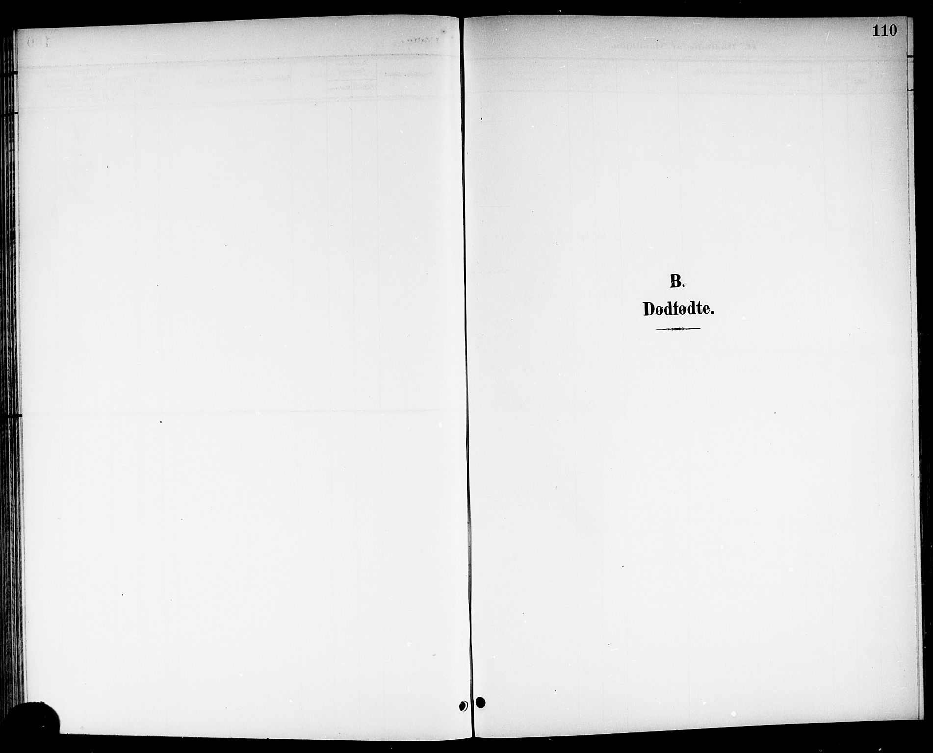 Brunlanes kirkebøker, SAKO/A-342/G/Ga/L0004: Klokkerbok nr. I 4, 1898-1921, s. 110