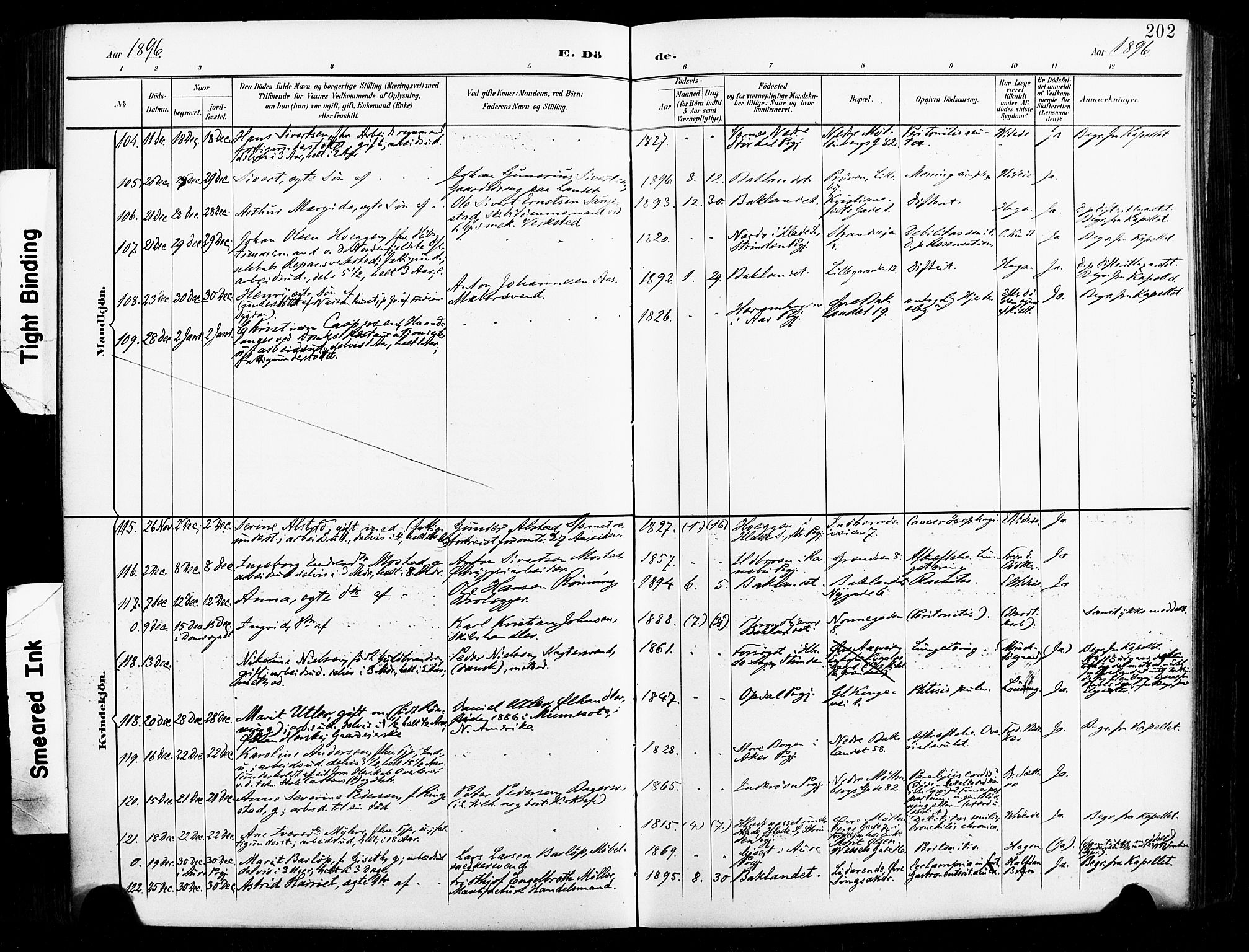 Ministerialprotokoller, klokkerbøker og fødselsregistre - Sør-Trøndelag, SAT/A-1456/604/L0198: Ministerialbok nr. 604A19, 1893-1900, s. 202
