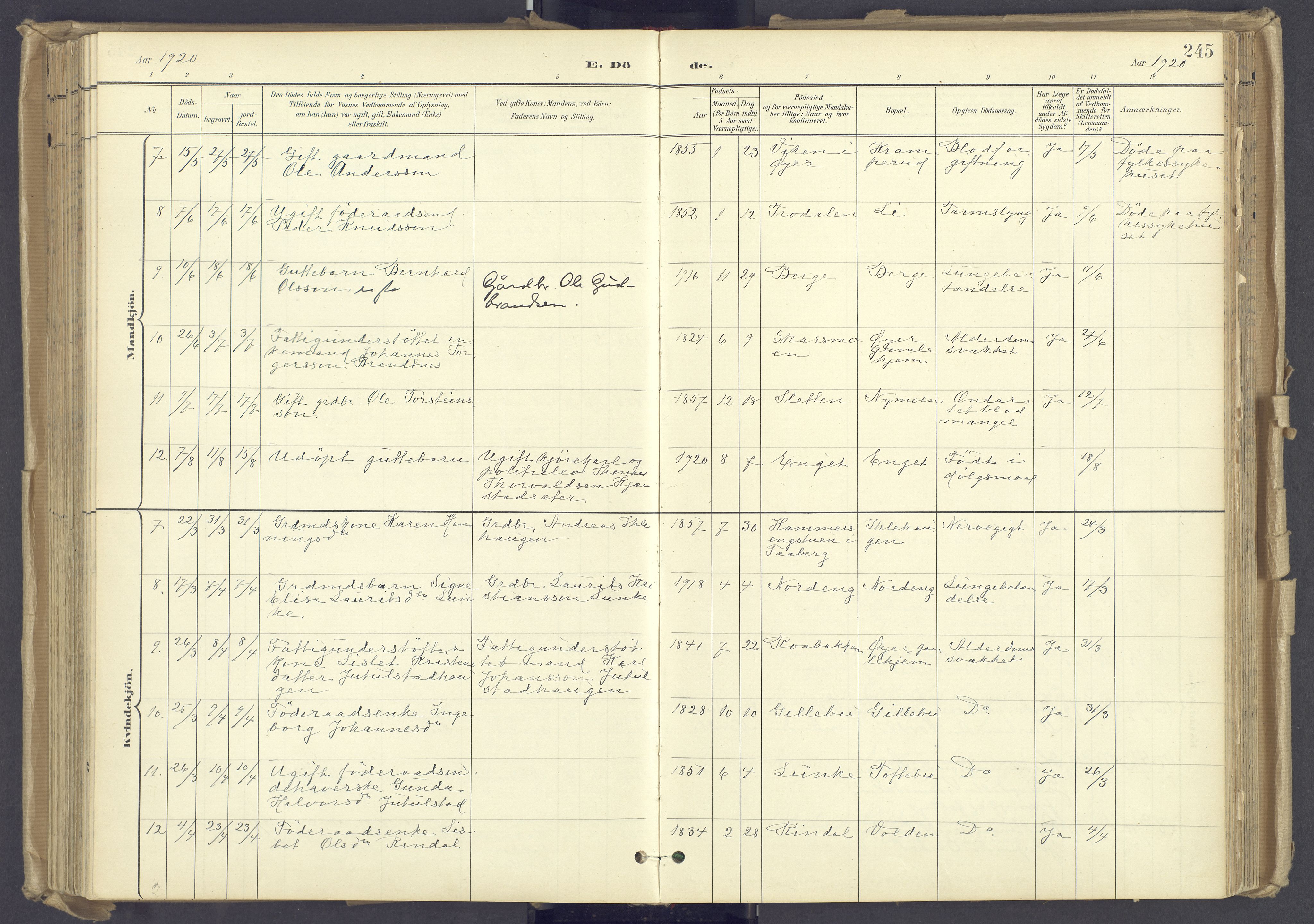Øyer prestekontor, AV/SAH-PREST-084/H/Ha/Haa/L0012: Ministerialbok nr. 12, 1897-1920, s. 245