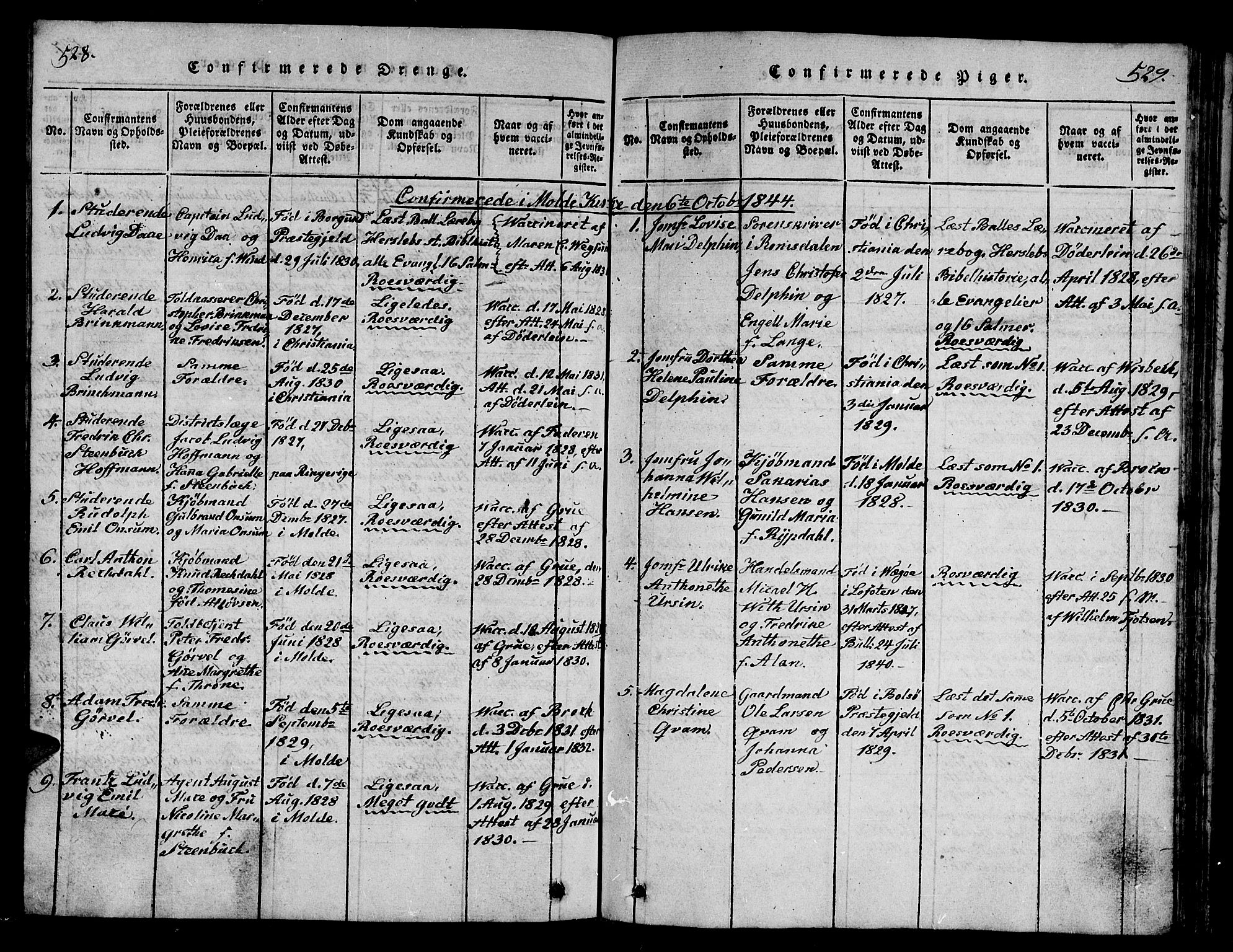 Ministerialprotokoller, klokkerbøker og fødselsregistre - Møre og Romsdal, SAT/A-1454/558/L0700: Klokkerbok nr. 558C01, 1818-1868, s. 528-529