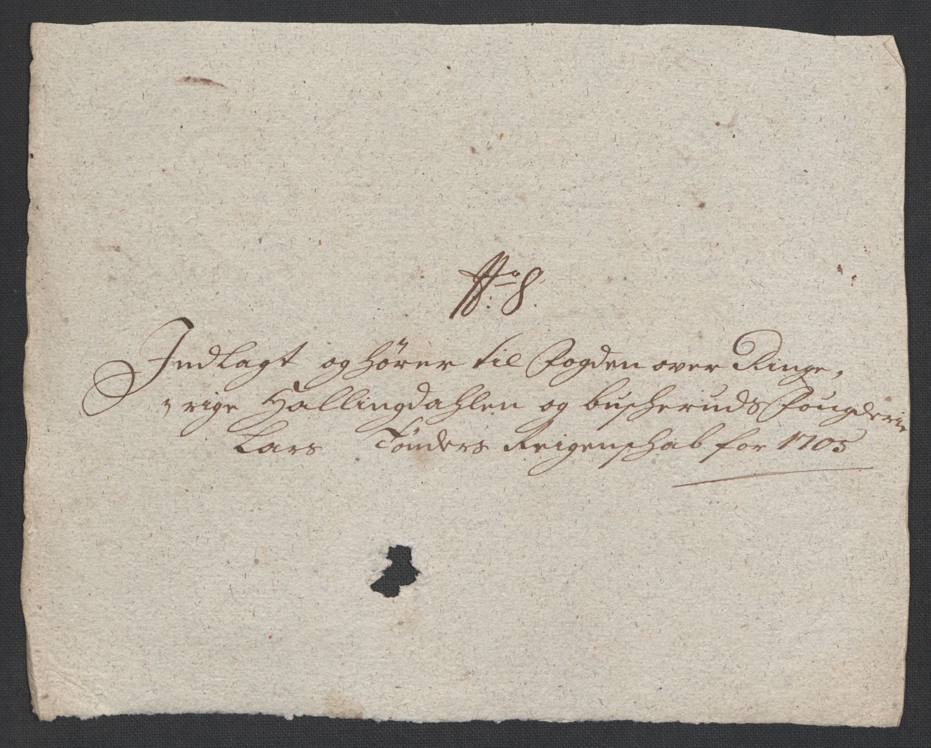 Rentekammeret inntil 1814, Reviderte regnskaper, Fogderegnskap, RA/EA-4092/R22/L1464: Fogderegnskap Ringerike, Hallingdal og Buskerud, 1705, s. 221