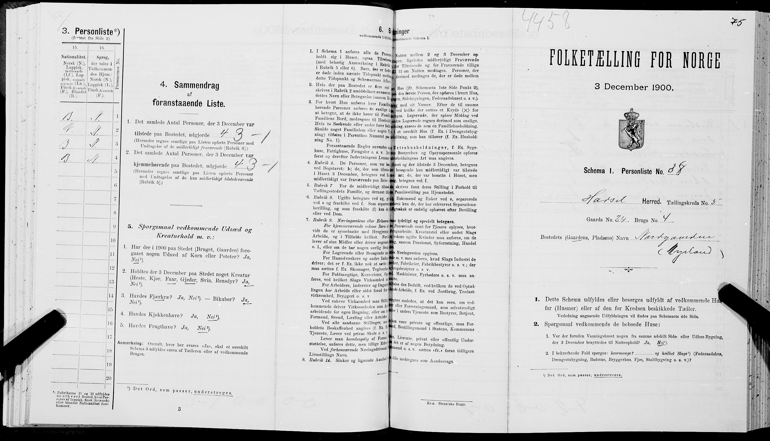 SAT, Folketelling 1900 for 1866 Hadsel herred, 1900, s. 539