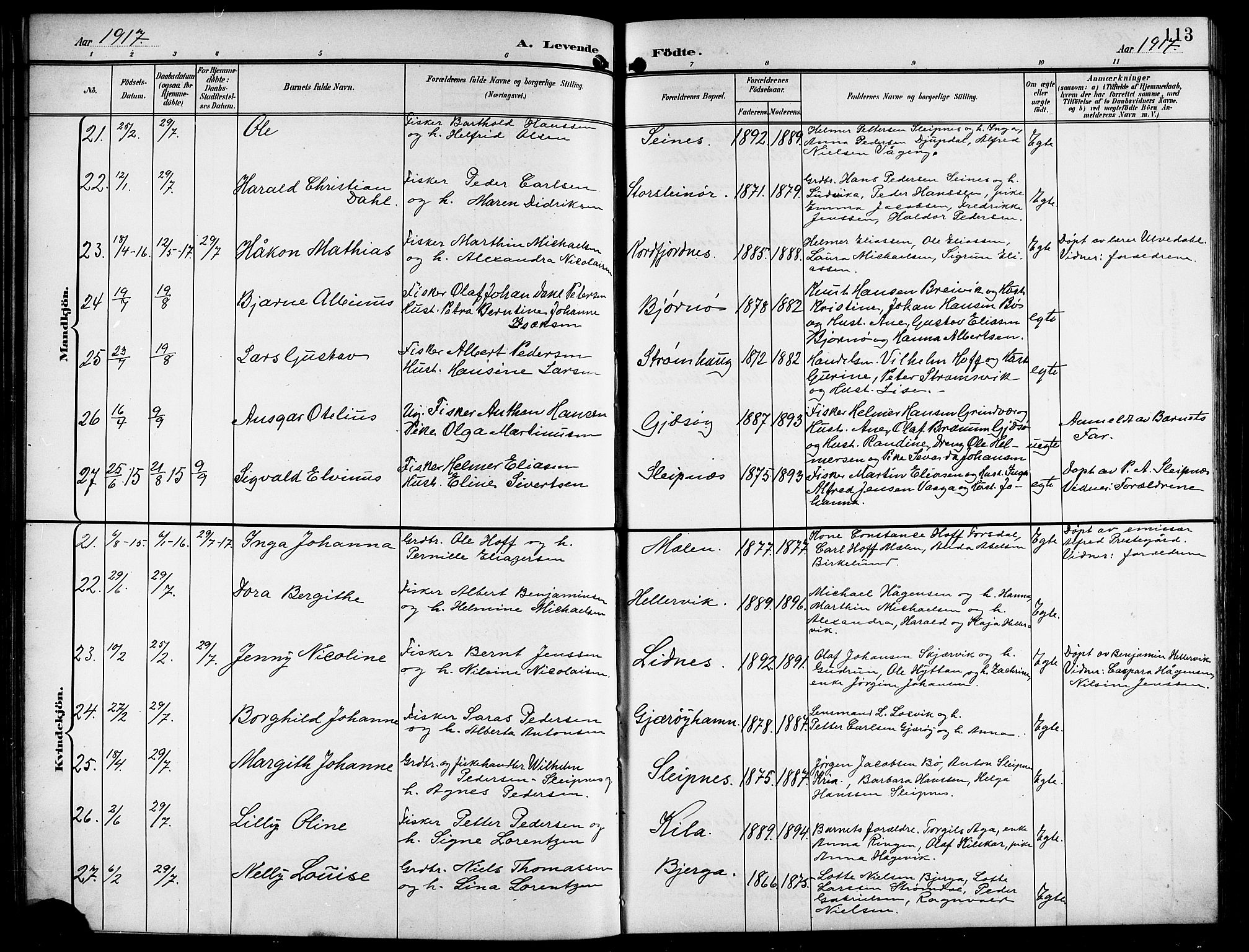 Ministerialprotokoller, klokkerbøker og fødselsregistre - Nordland, AV/SAT-A-1459/841/L0621: Klokkerbok nr. 841C05, 1897-1923, s. 113