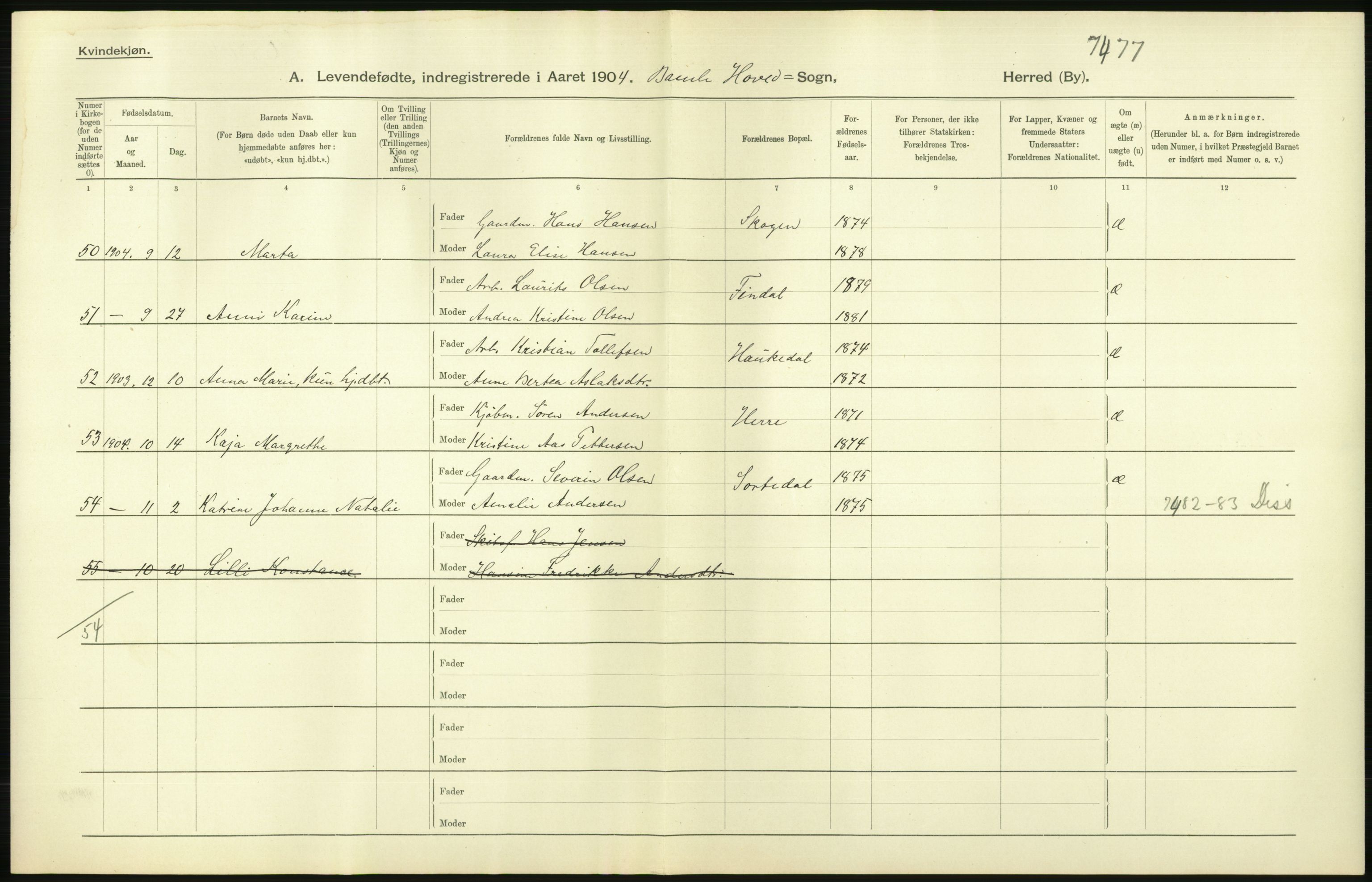 Statistisk sentralbyrå, Sosiodemografiske emner, Befolkning, AV/RA-S-2228/D/Df/Dfa/Dfab/L0009: Bratsberg amt: Fødte, gifte, døde, 1904, s. 54