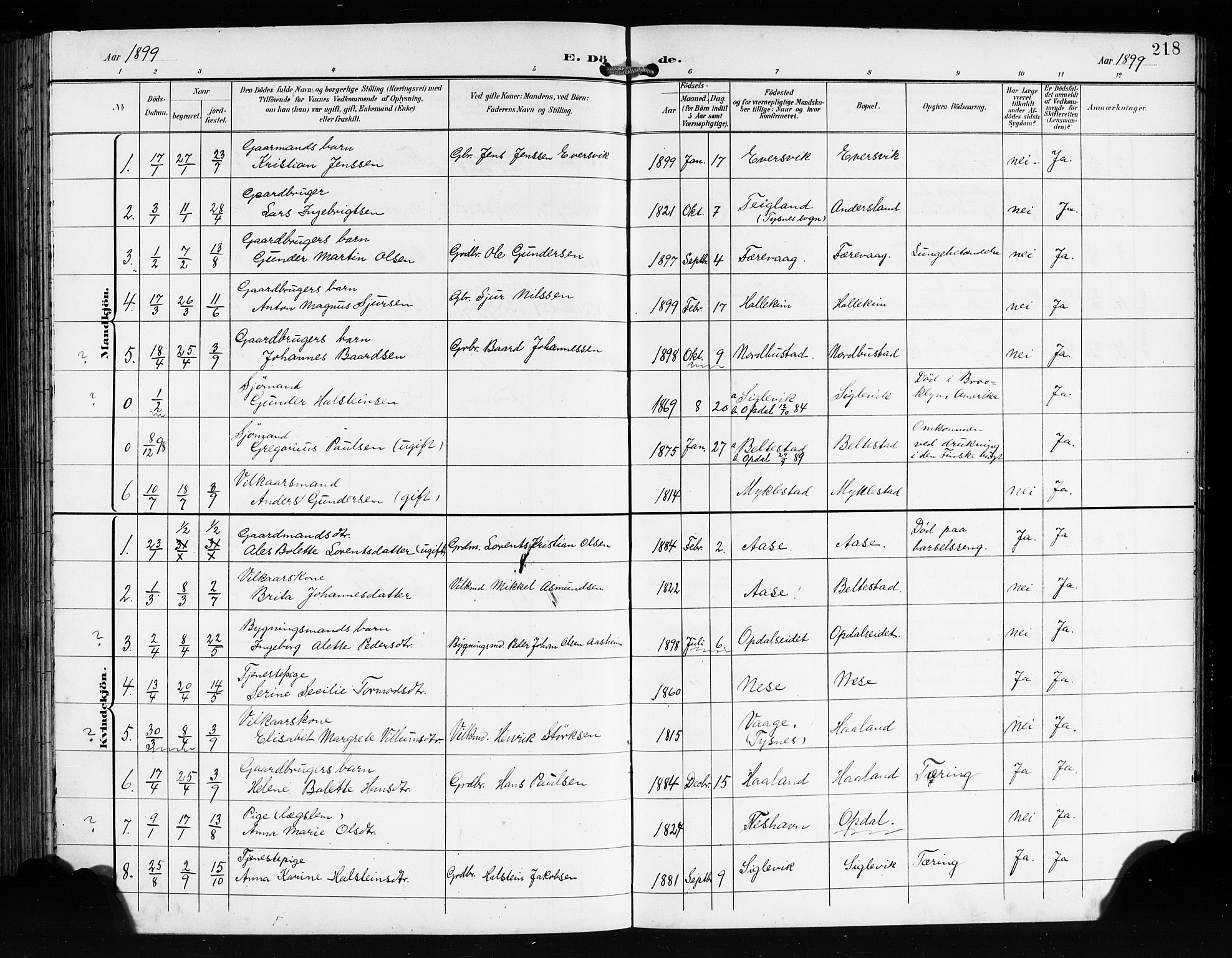 Tysnes sokneprestembete, AV/SAB-A-78601/H/Hab: Klokkerbok nr. E 3, 1897-1913, s. 218