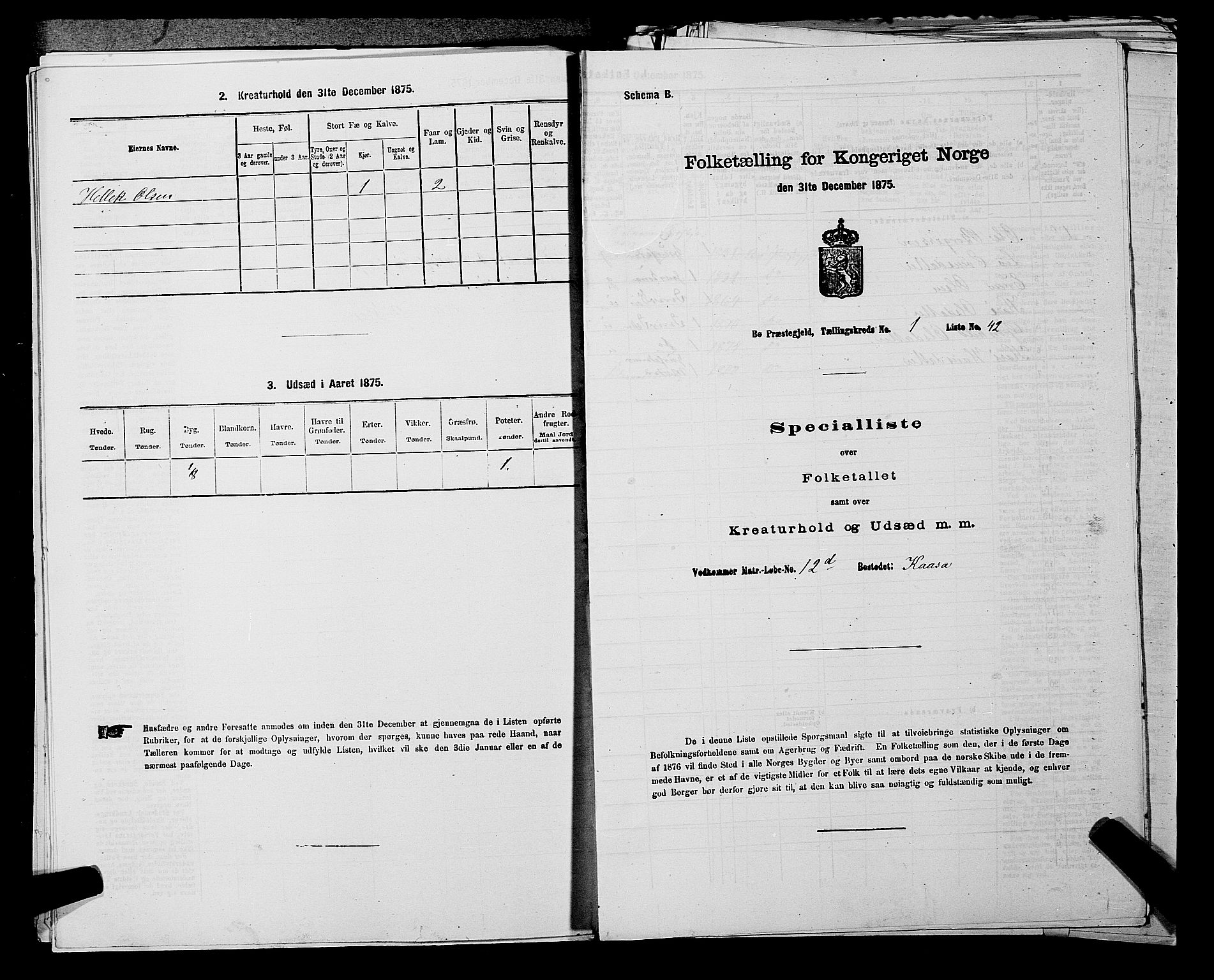 SAKO, Folketelling 1875 for 0821P Bø prestegjeld, 1875, s. 124