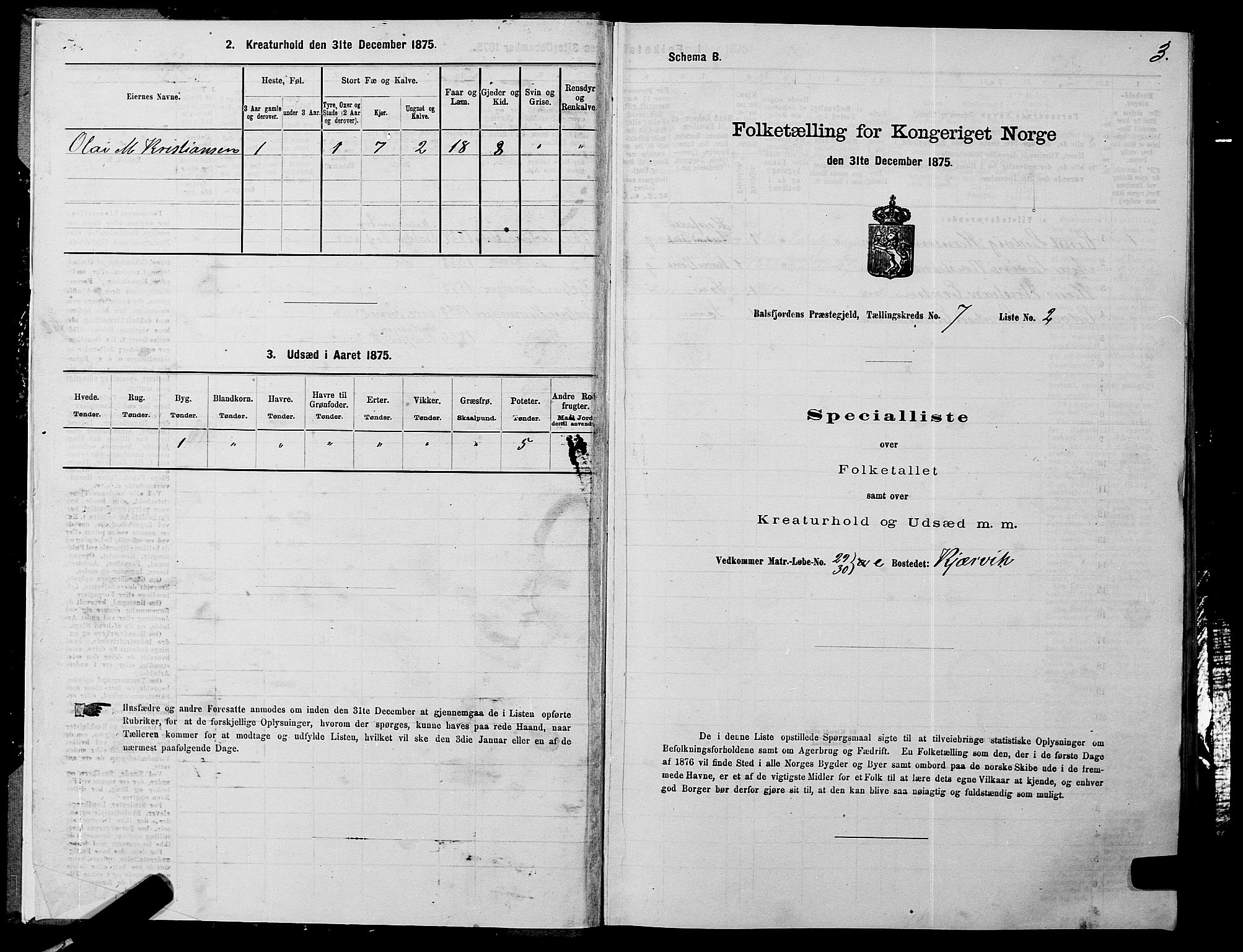 SATØ, Folketelling 1875 for 1933P Balsfjord prestegjeld, 1875, s. 4003