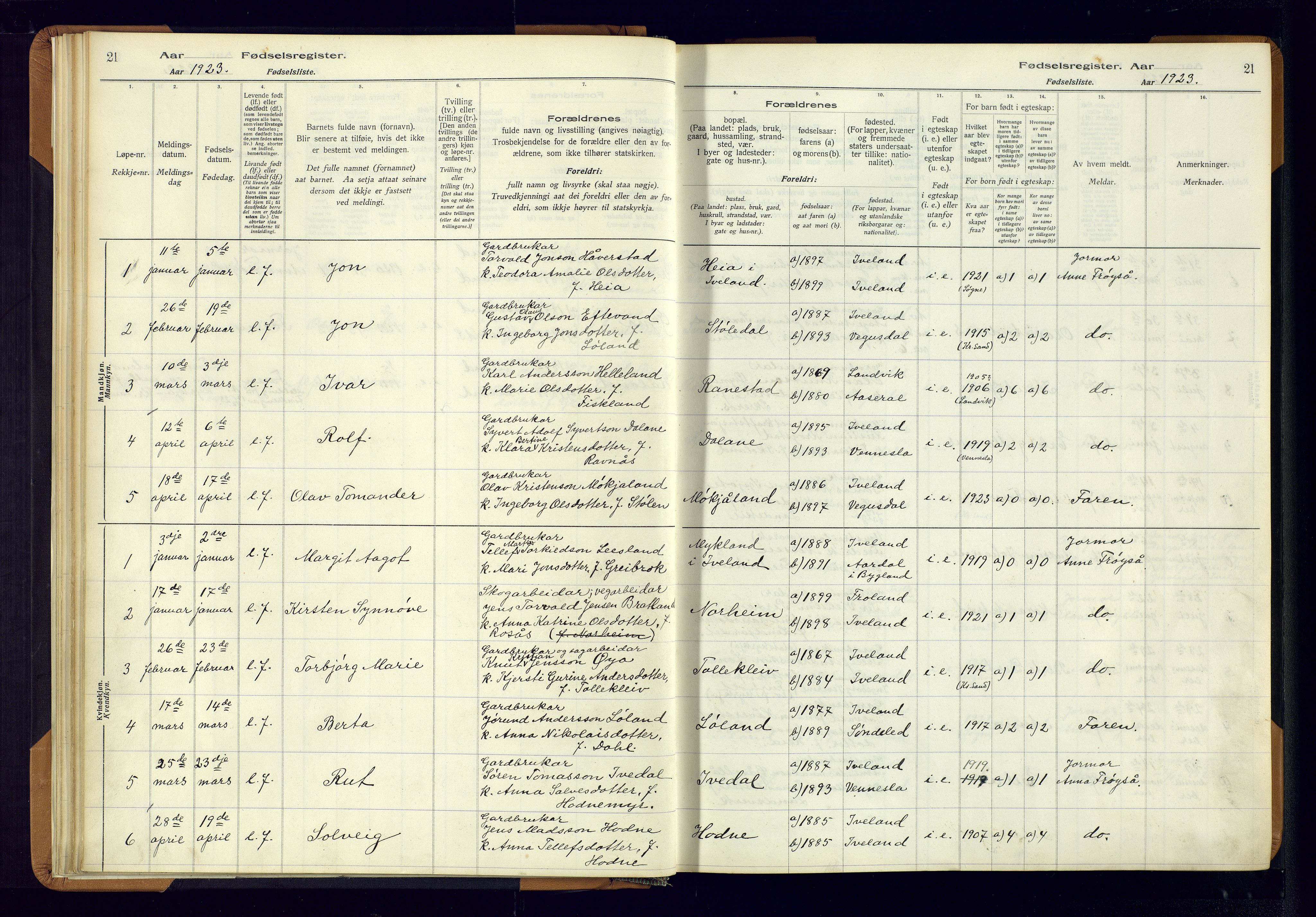 Evje sokneprestkontor, SAK/1111-0008/J/Jc/L0003: Fødselsregister nr. II.4.3, 1916-1982, s. 21