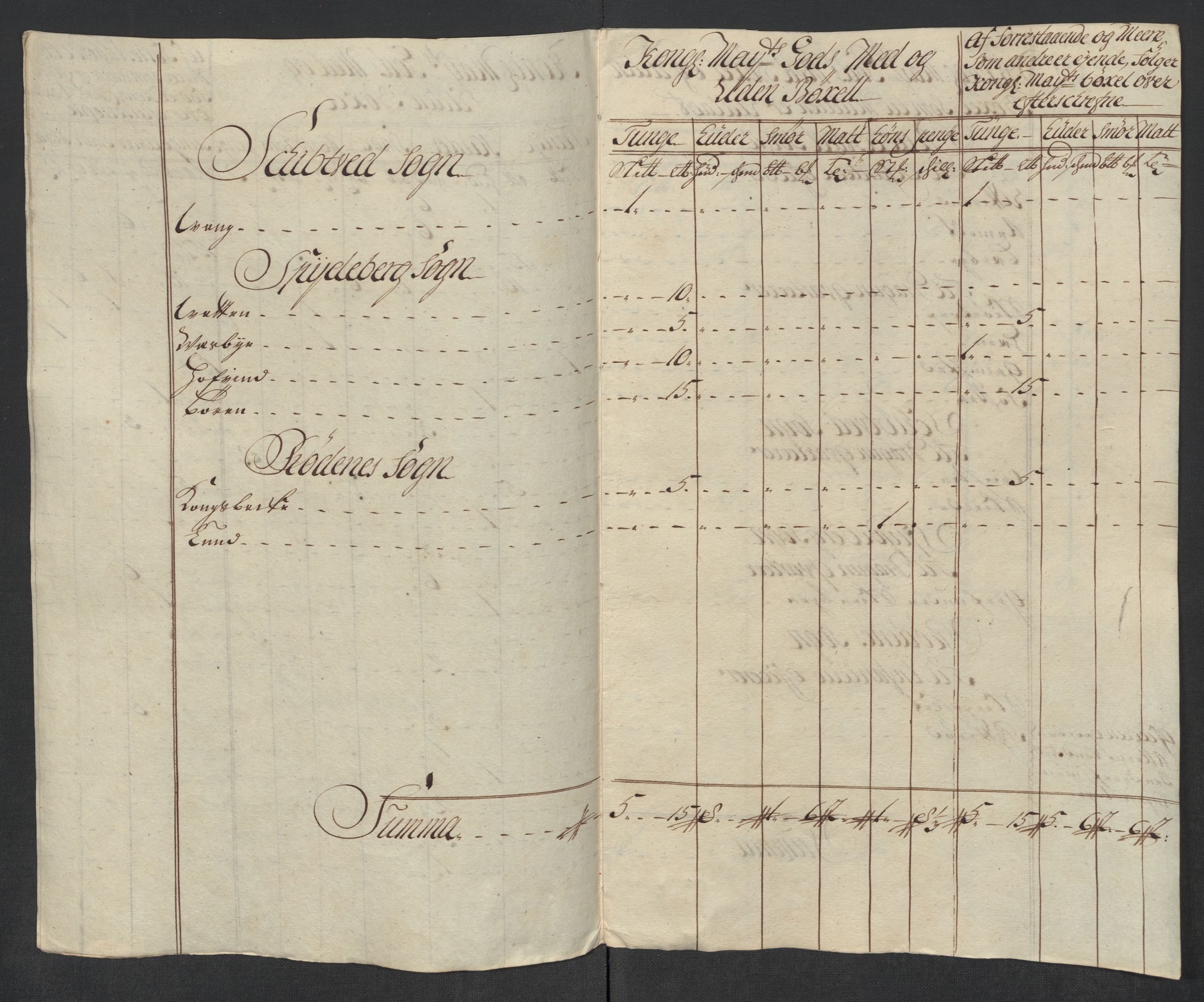 Rentekammeret inntil 1814, Reviderte regnskaper, Fogderegnskap, AV/RA-EA-4092/R07/L0313: Fogderegnskap Rakkestad, Heggen og Frøland, 1717, s. 295