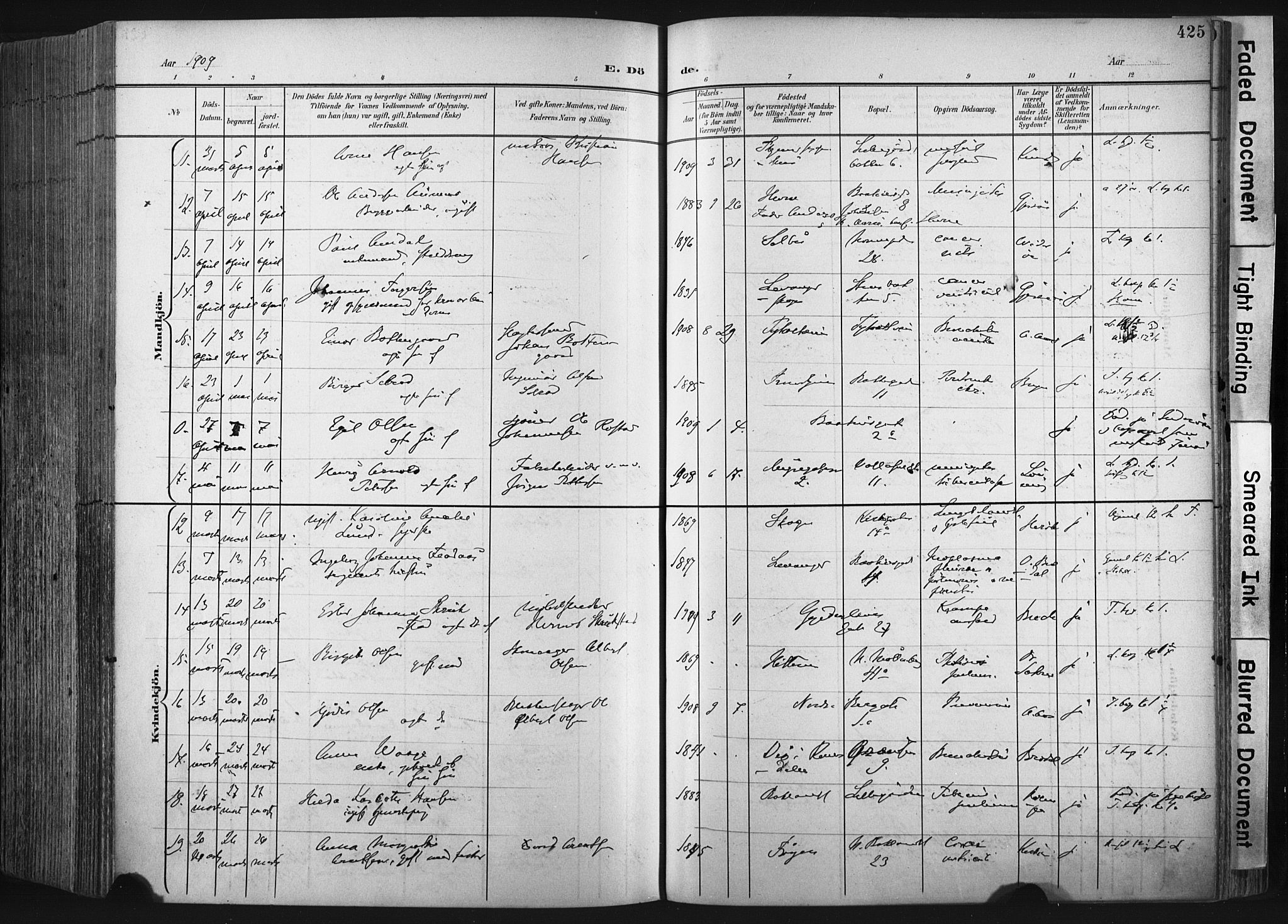 Ministerialprotokoller, klokkerbøker og fødselsregistre - Sør-Trøndelag, AV/SAT-A-1456/604/L0201: Ministerialbok nr. 604A21, 1901-1911, s. 425