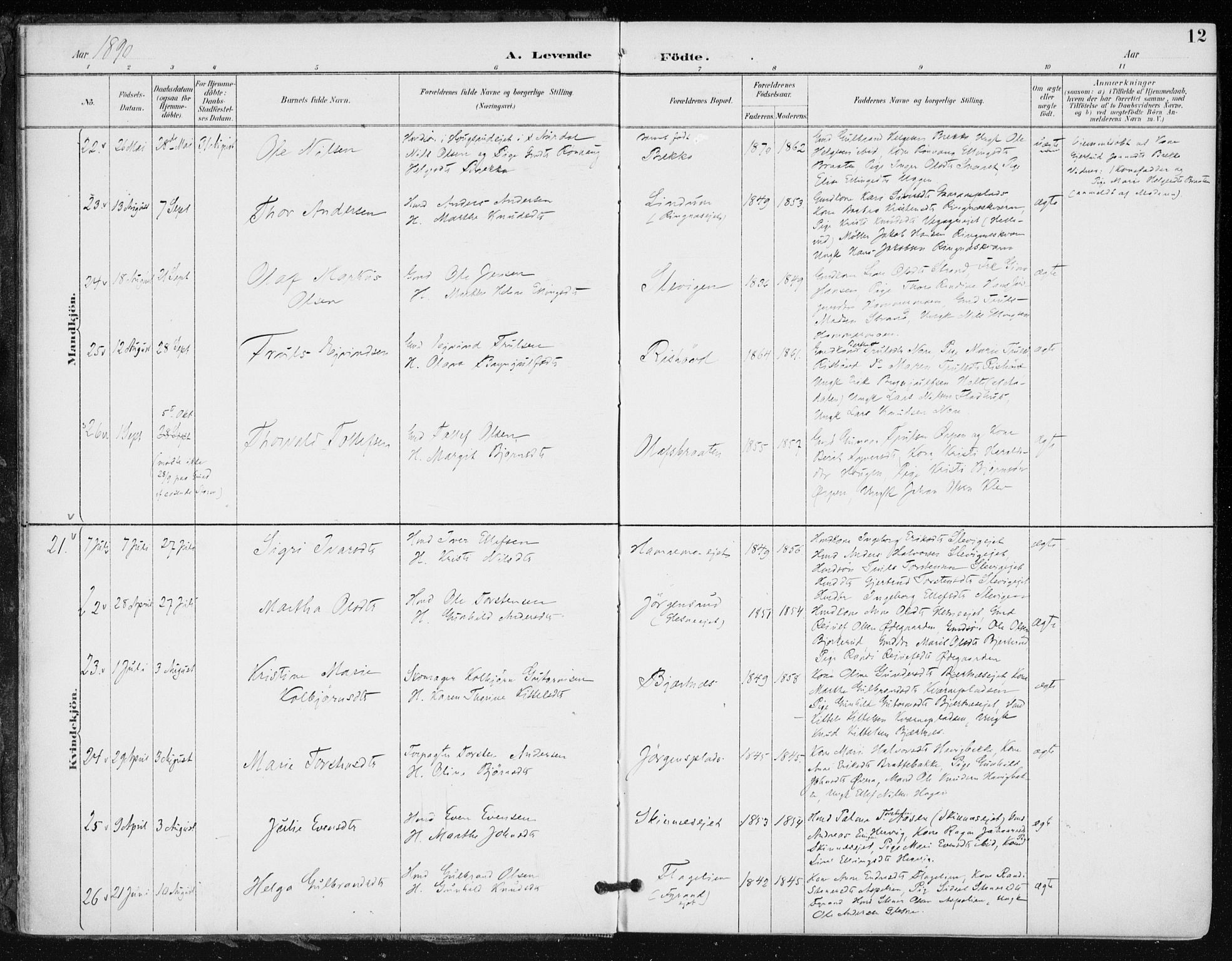 Krødsherad kirkebøker, AV/SAKO-A-19/F/Fa/L0006: Ministerialbok nr. 6, 1889-1899, s. 12
