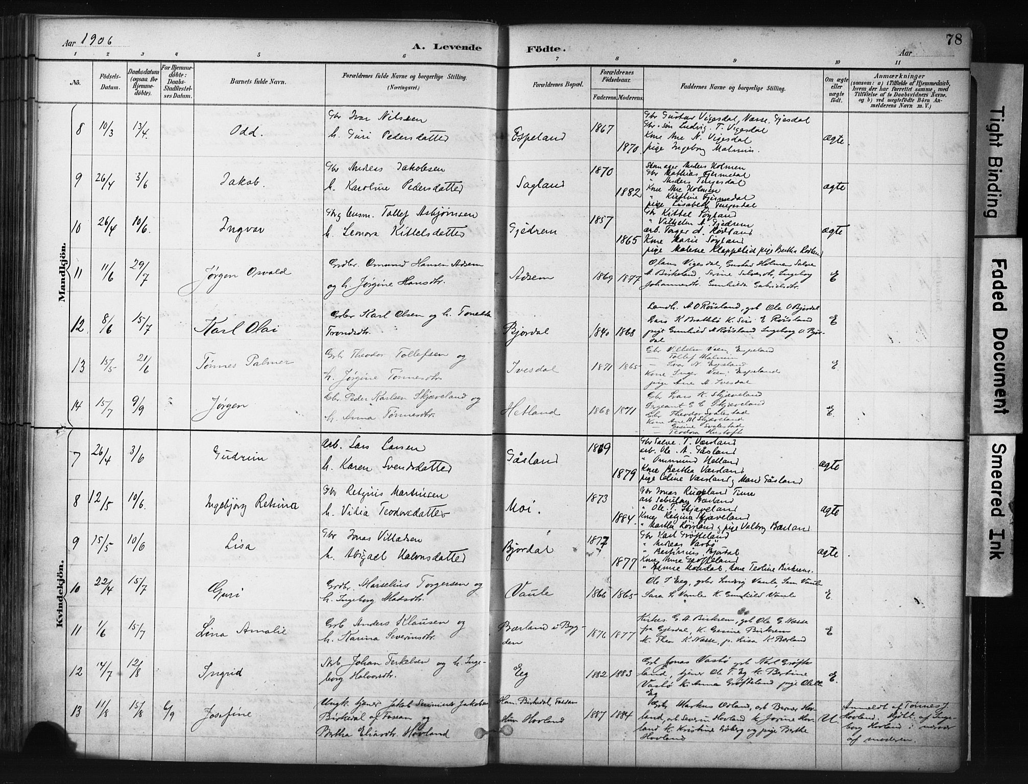 Helleland sokneprestkontor, AV/SAST-A-101810: Ministerialbok nr. A 9, 1887-1908, s. 78