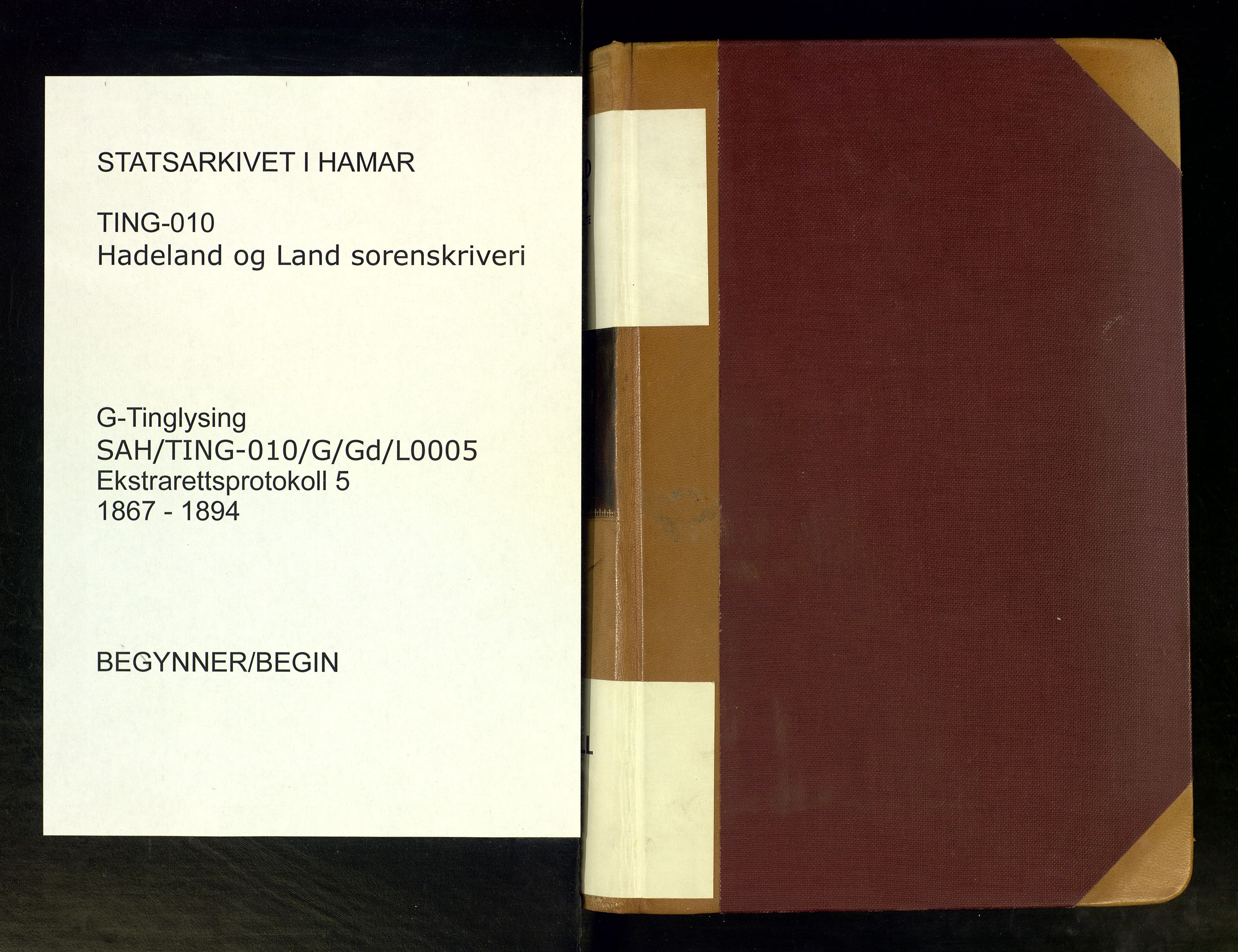 Hadeland og Land tingrett, AV/SAH-TING-010/G/Gd/L0005: Åstedsprotokoll, 1867-1894