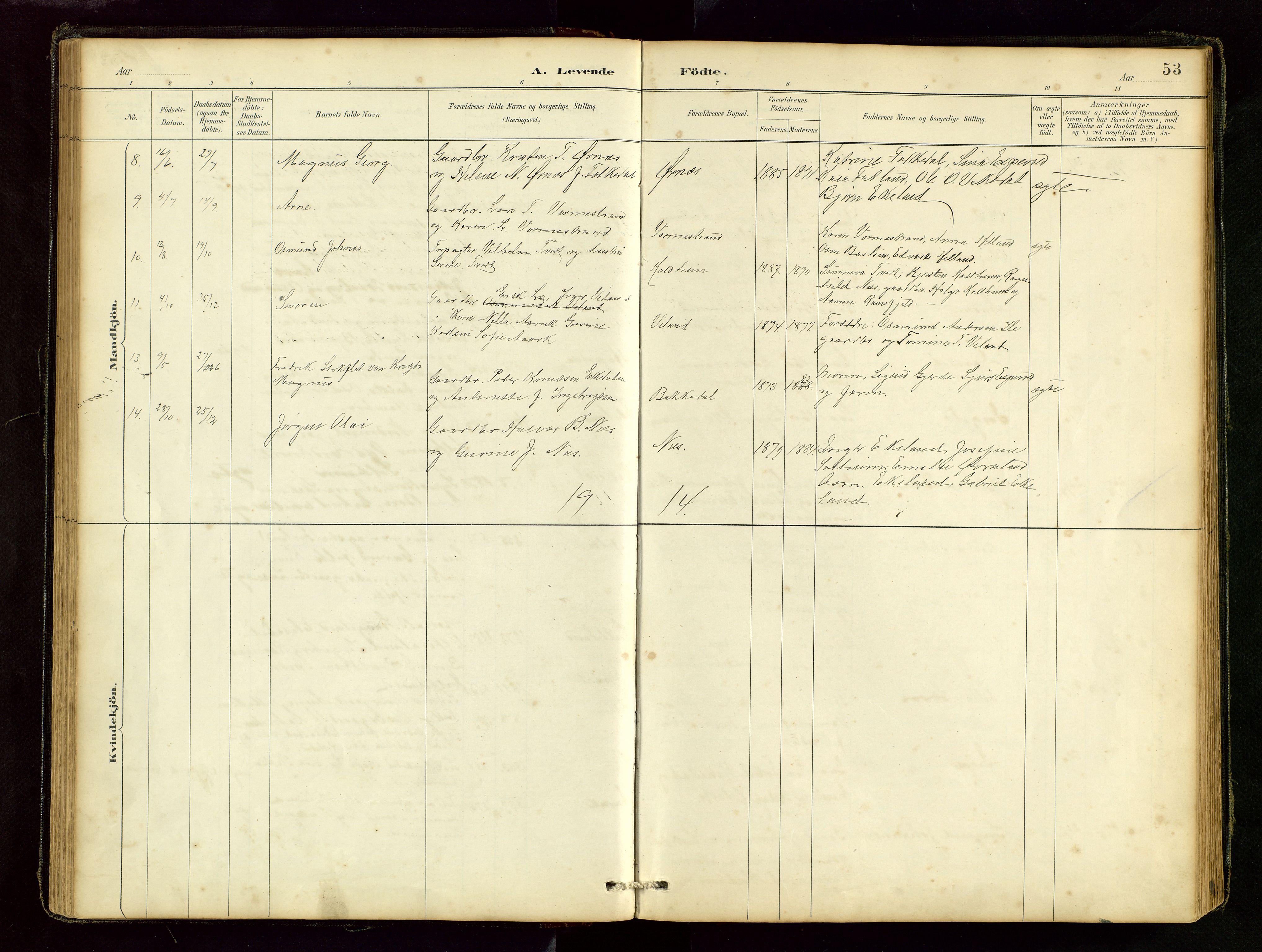 Vikedal sokneprestkontor, AV/SAST-A-101840/01/V: Klokkerbok nr. B 6, 1889-1956, s. 53