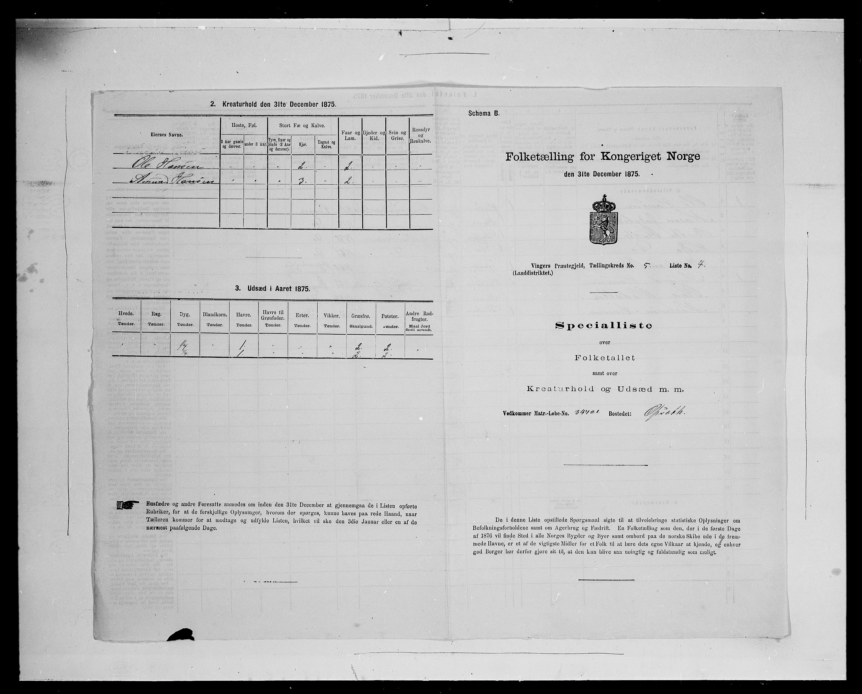 SAH, Folketelling 1875 for 0421L Vinger prestegjeld, Vinger sokn og Austmarka sokn, 1875, s. 706