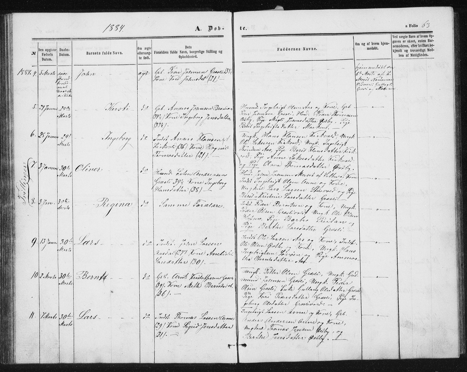 Ministerialprotokoller, klokkerbøker og fødselsregistre - Sør-Trøndelag, SAT/A-1456/698/L1166: Klokkerbok nr. 698C03, 1861-1887, s. 63