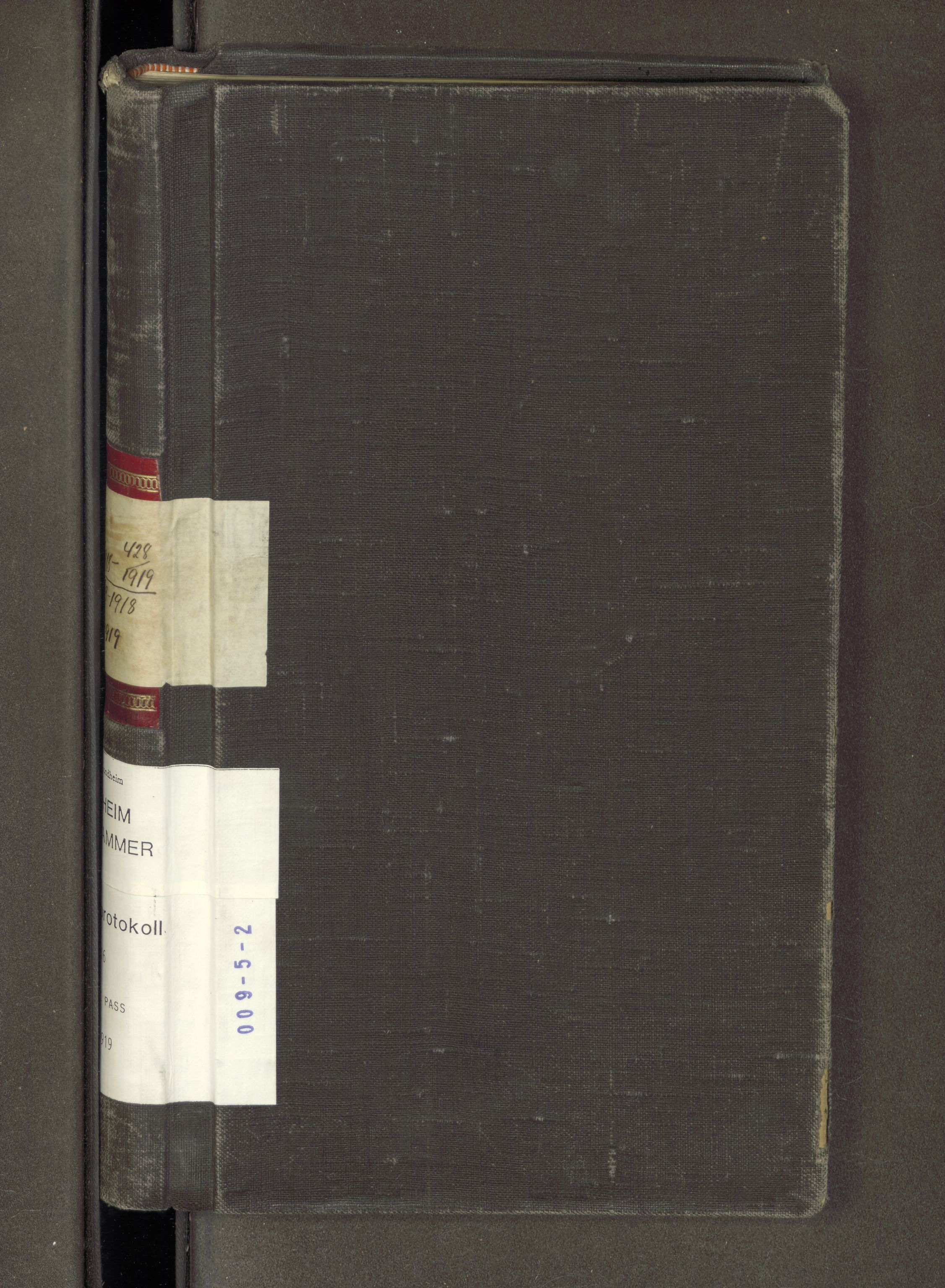 Trondheim politikammer, AV/SAT-A-1887/1/30/L0016: Passprotokoll. Utstedte pass 26.03-25.03, 1918-1919