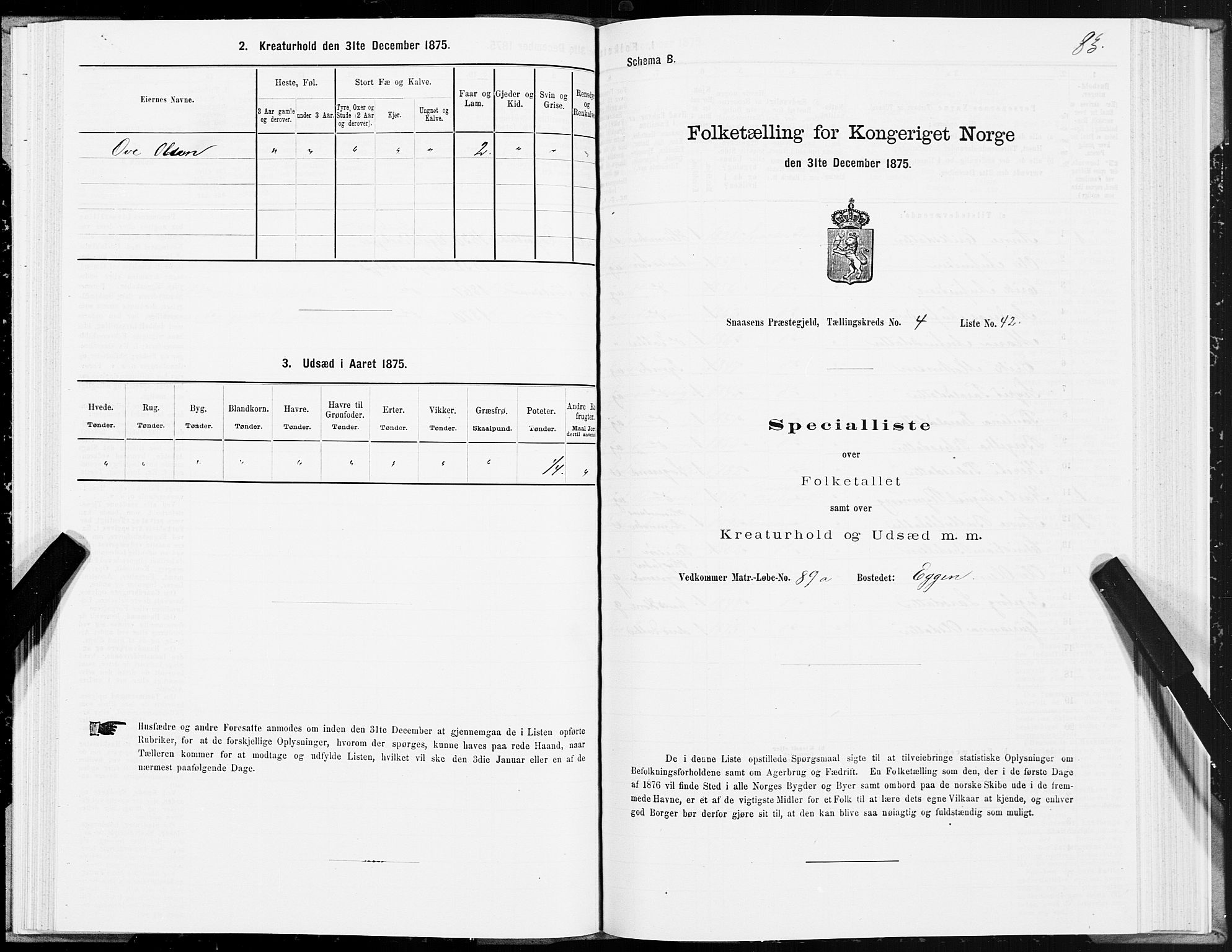 SAT, Folketelling 1875 for 1736P Snåsa prestegjeld, 1875, s. 2083