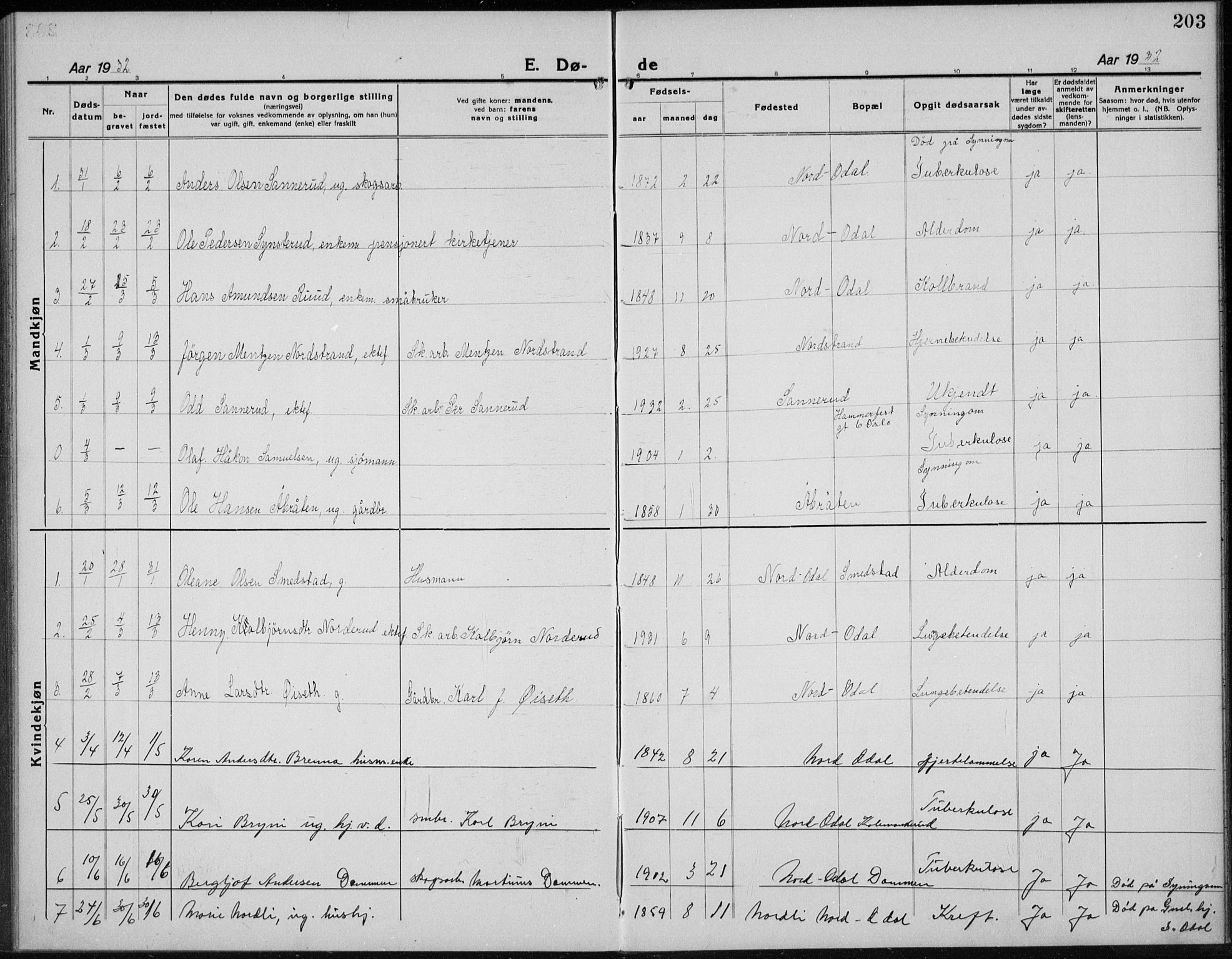 Nord-Odal prestekontor, SAH/PREST-032/H/Ha/Hab/L0004: Klokkerbok nr. 4, 1921-1936, s. 203