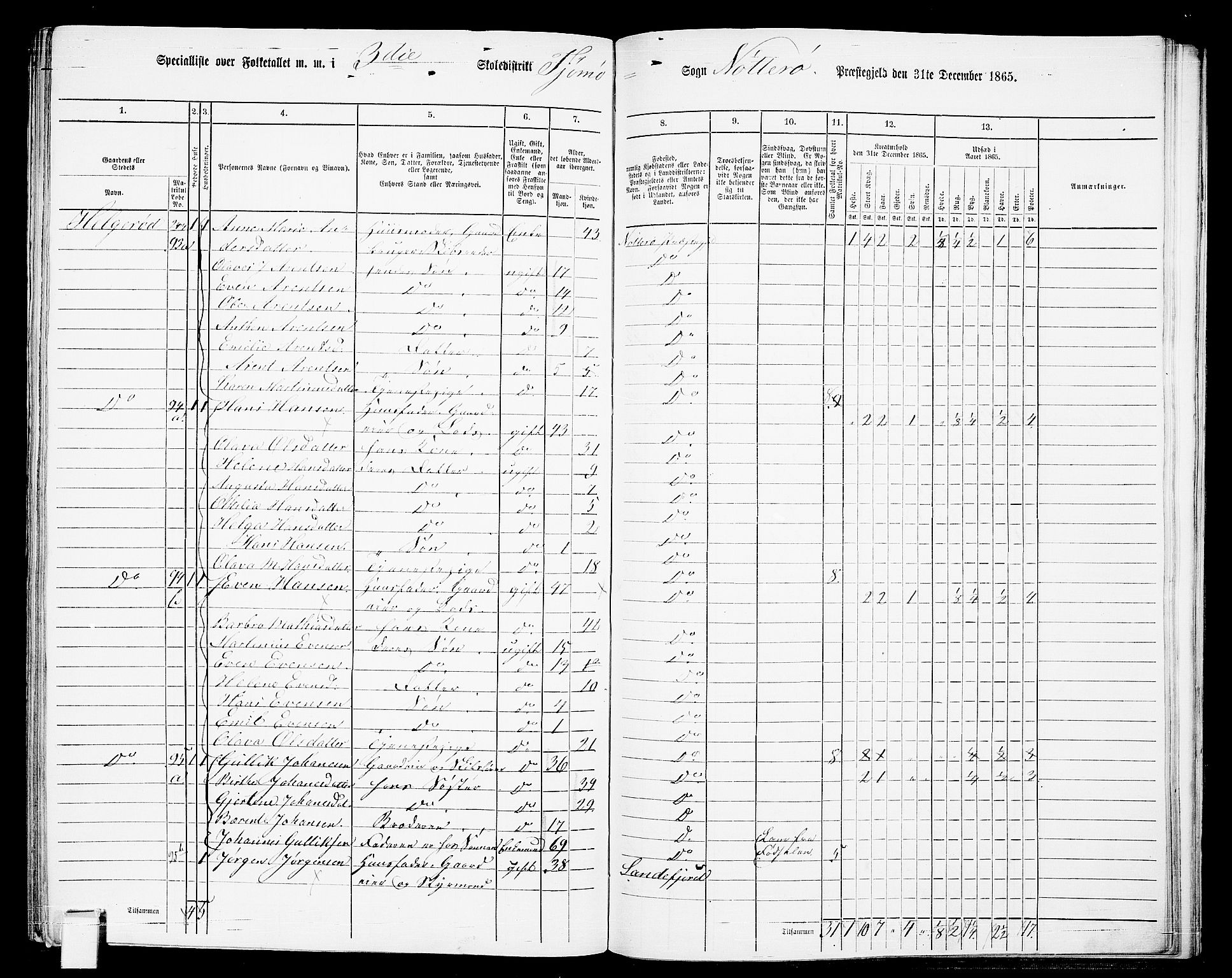 RA, Folketelling 1865 for 0722P Nøtterøy prestegjeld, 1865, s. 274