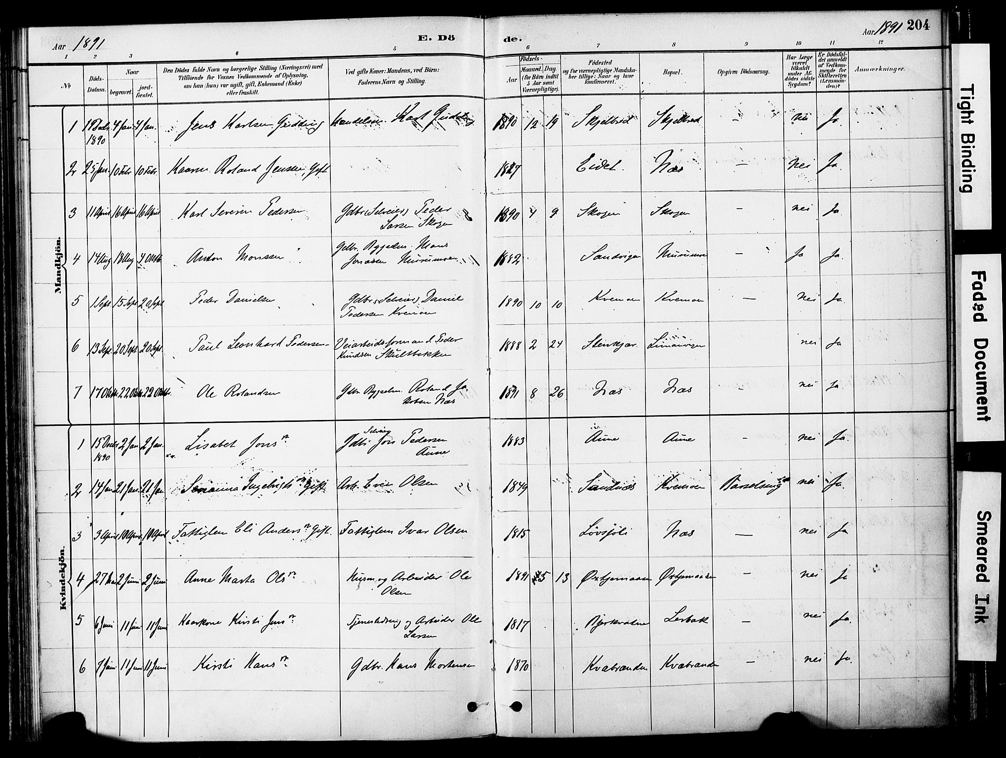 Ministerialprotokoller, klokkerbøker og fødselsregistre - Nord-Trøndelag, SAT/A-1458/755/L0494: Ministerialbok nr. 755A03, 1882-1902, s. 204
