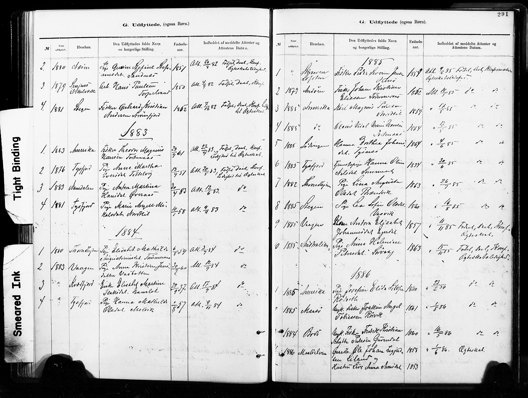 Ministerialprotokoller, klokkerbøker og fødselsregistre - Nordland, AV/SAT-A-1459/859/L0846: Ministerialbok nr. 859A06, 1878-1889, s. 291