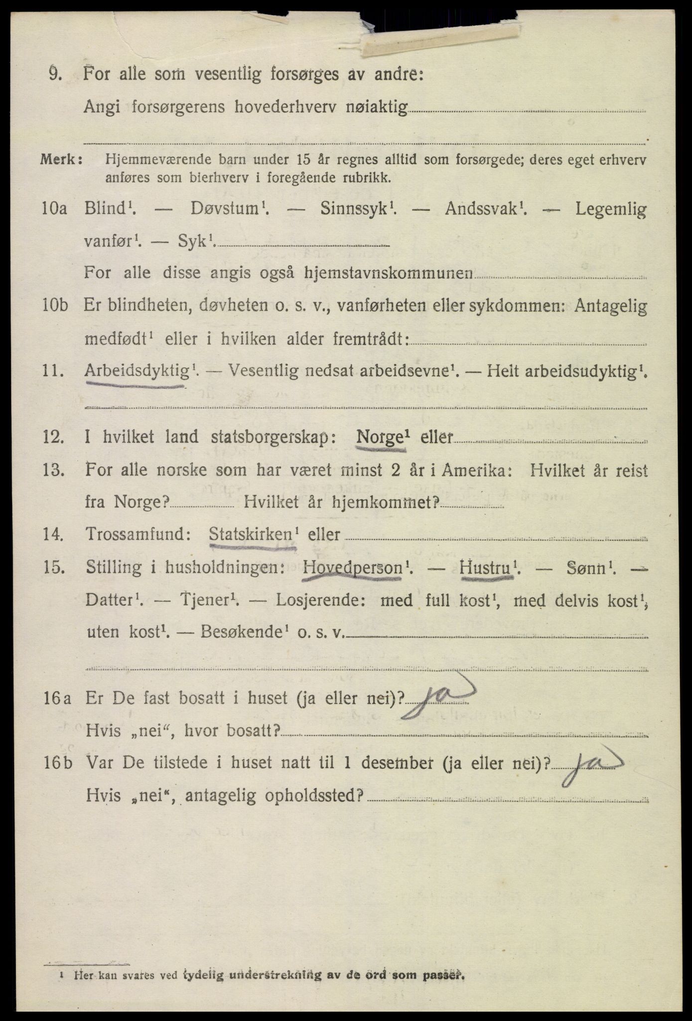 SAK, Folketelling 1920 for 0936 Hornnes herred, 1920, s. 3080