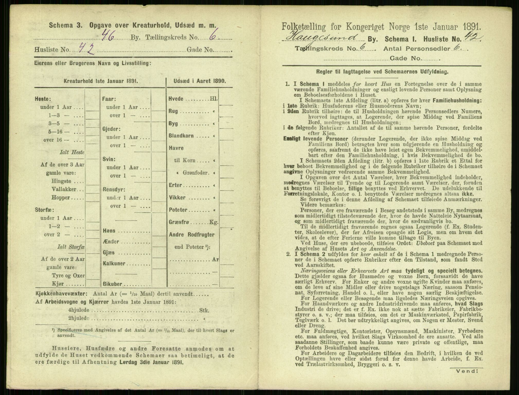 RA, Folketelling 1891 for 1106 Haugesund kjøpstad, 1891, s. 467