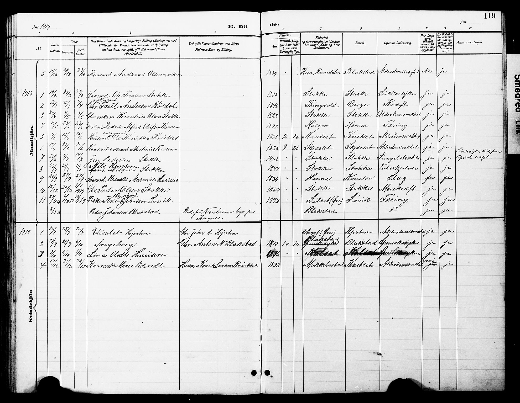 Ministerialprotokoller, klokkerbøker og fødselsregistre - Møre og Romsdal, AV/SAT-A-1454/585/L0973: Klokkerbok nr. 585C01, 1893-1930, s. 119