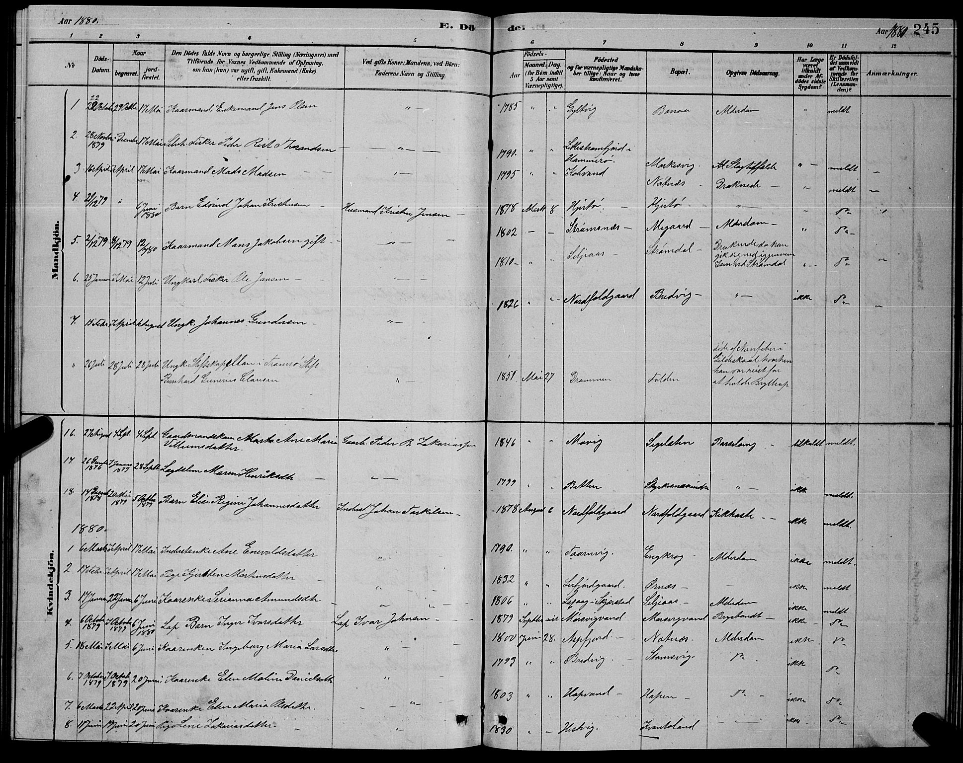 Ministerialprotokoller, klokkerbøker og fødselsregistre - Nordland, AV/SAT-A-1459/853/L0776: Klokkerbok nr. 853C04, 1878-1889, s. 245