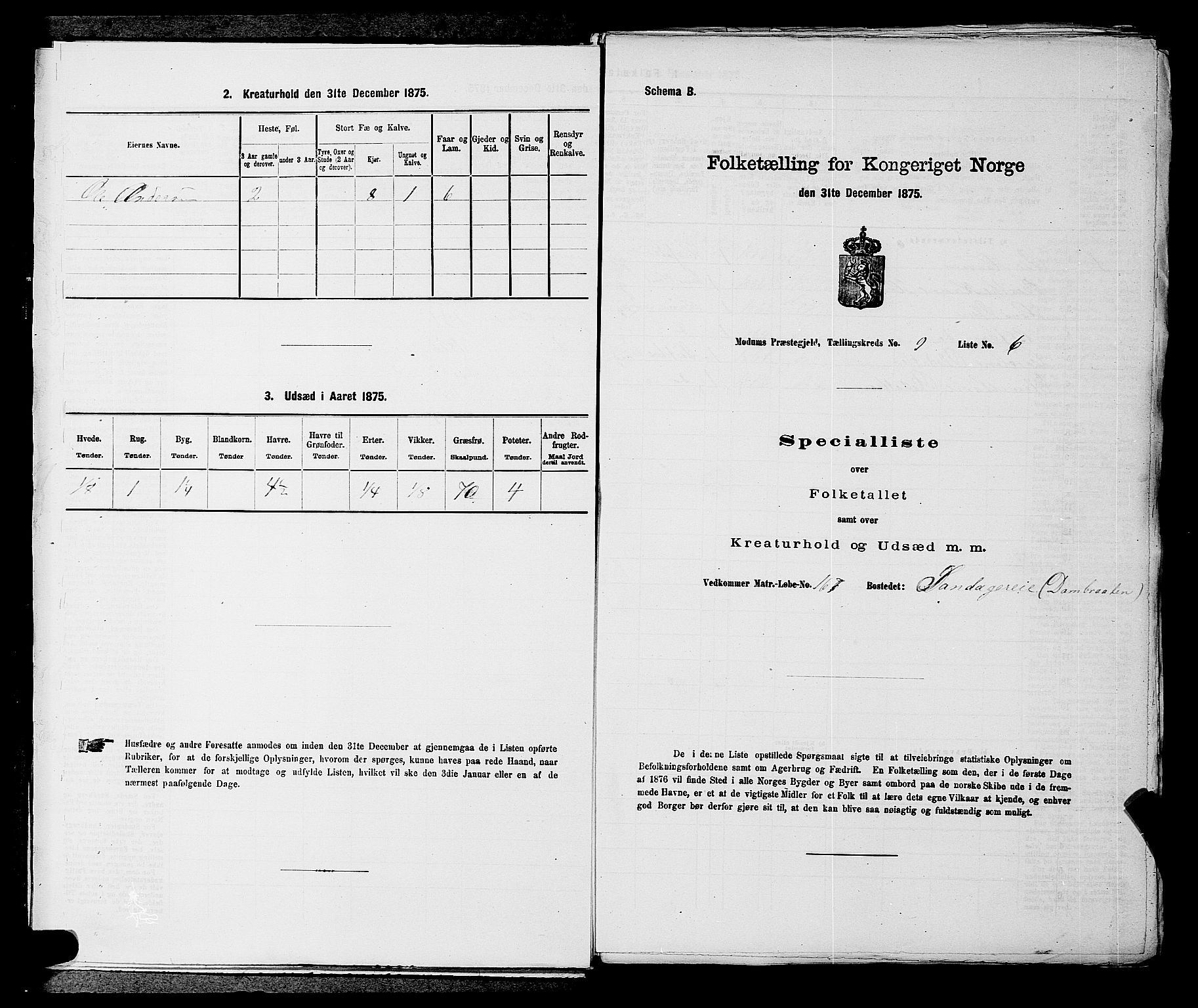 SAKO, Folketelling 1875 for 0623P Modum prestegjeld, 1875, s. 1051