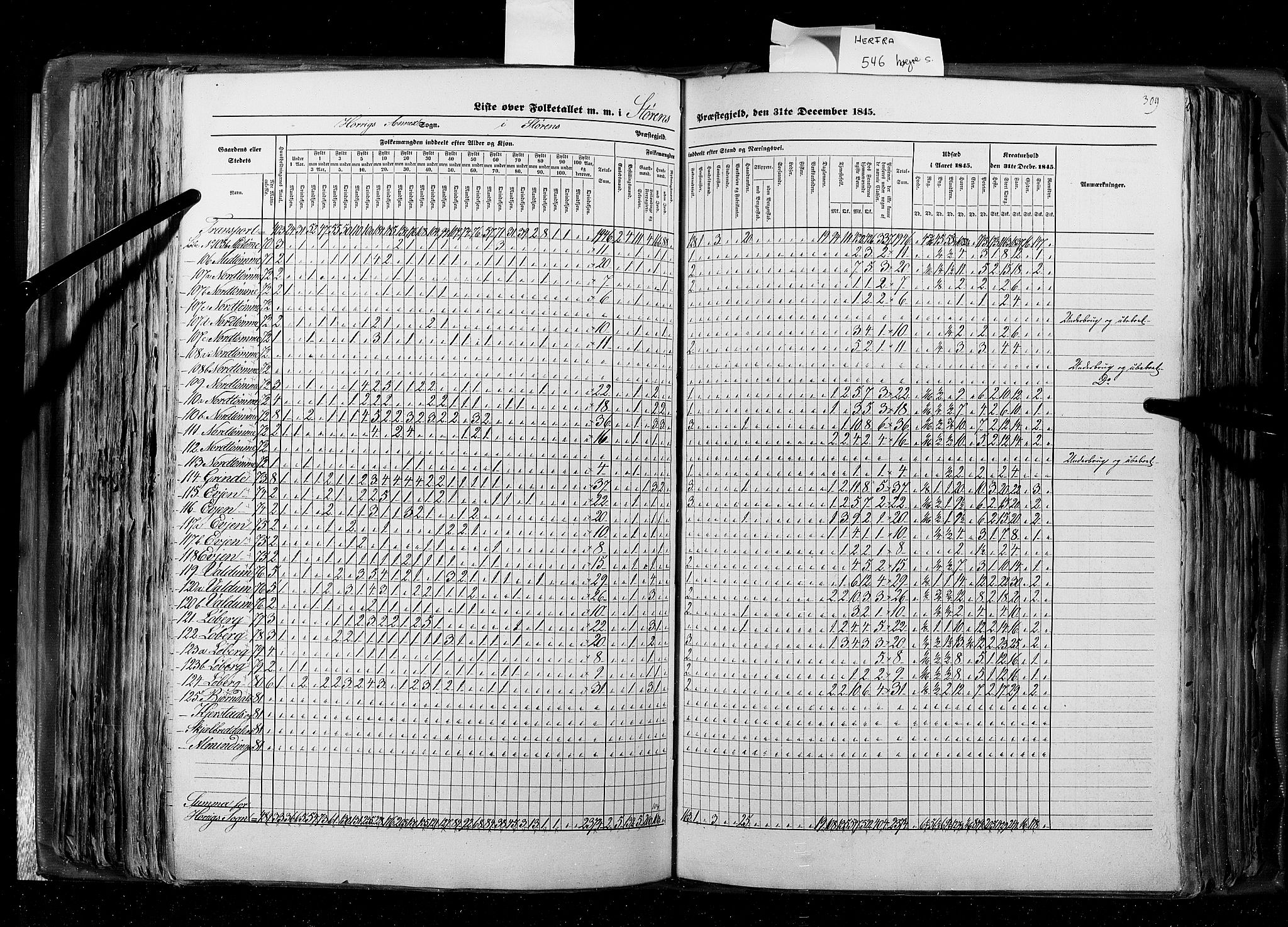 RA, Folketellingen 1845, bind 8: Romsdal amt og Søndre Trondhjems amt, 1845, s. 309