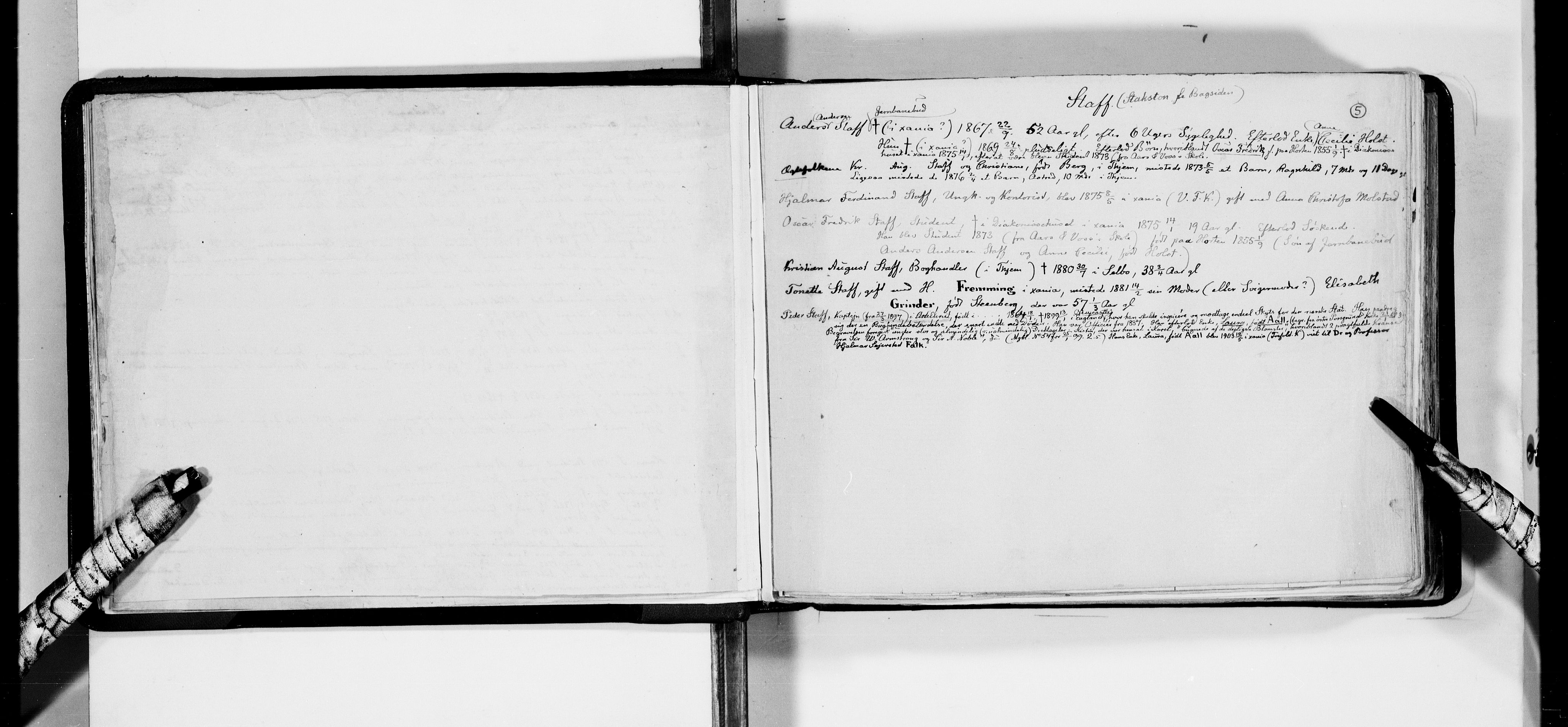 Lassens samlinger, AV/RA-PA-0051/F/Fa/L0041: Personalhistoriske og genealogiske opptegnelser: Stabenfeldt - Stuart, 1500-1907