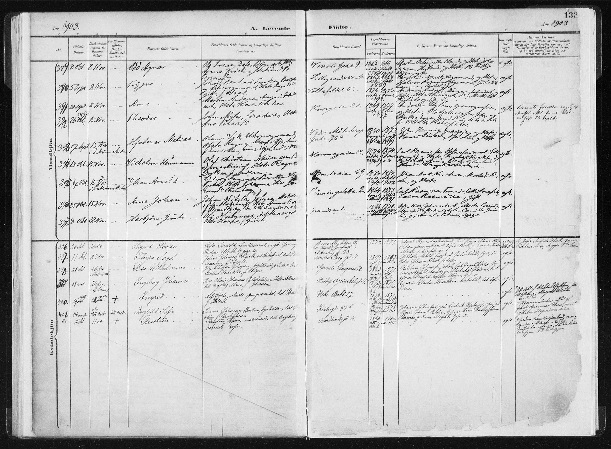 Ministerialprotokoller, klokkerbøker og fødselsregistre - Sør-Trøndelag, SAT/A-1456/604/L0199: Ministerialbok nr. 604A20I, 1901-1906, s. 133