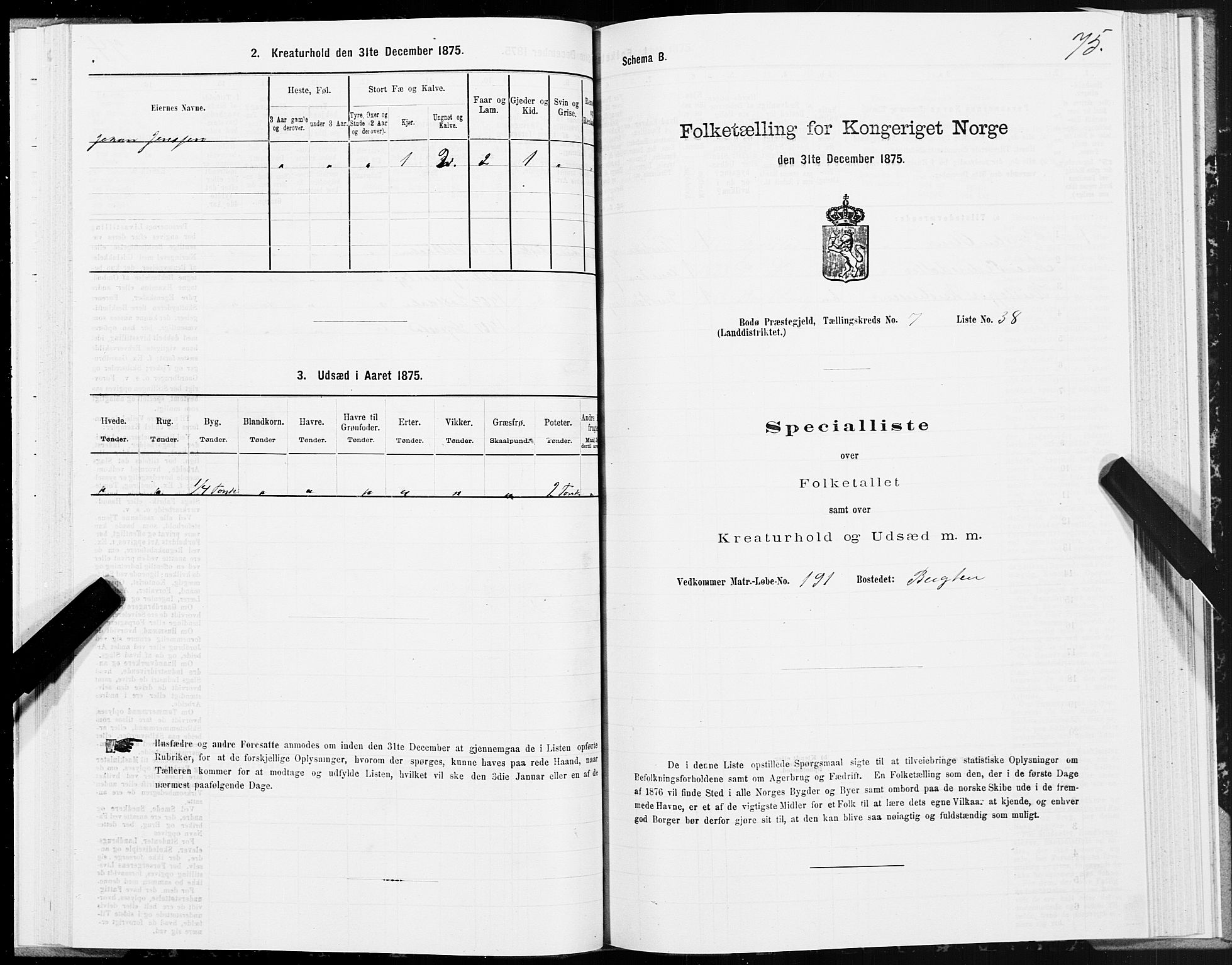 SAT, Folketelling 1875 for 1843L Bodø prestegjeld, Bodø landsokn, 1875, s. 4075