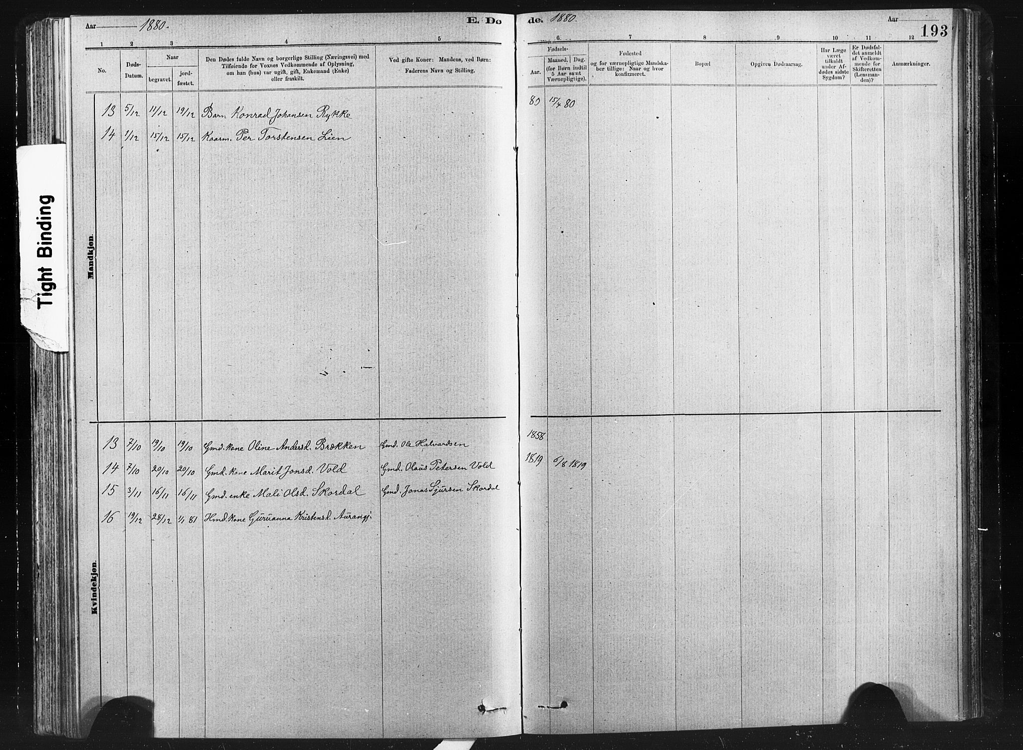 Ministerialprotokoller, klokkerbøker og fødselsregistre - Nord-Trøndelag, SAT/A-1458/712/L0103: Klokkerbok nr. 712C01, 1878-1917, s. 193