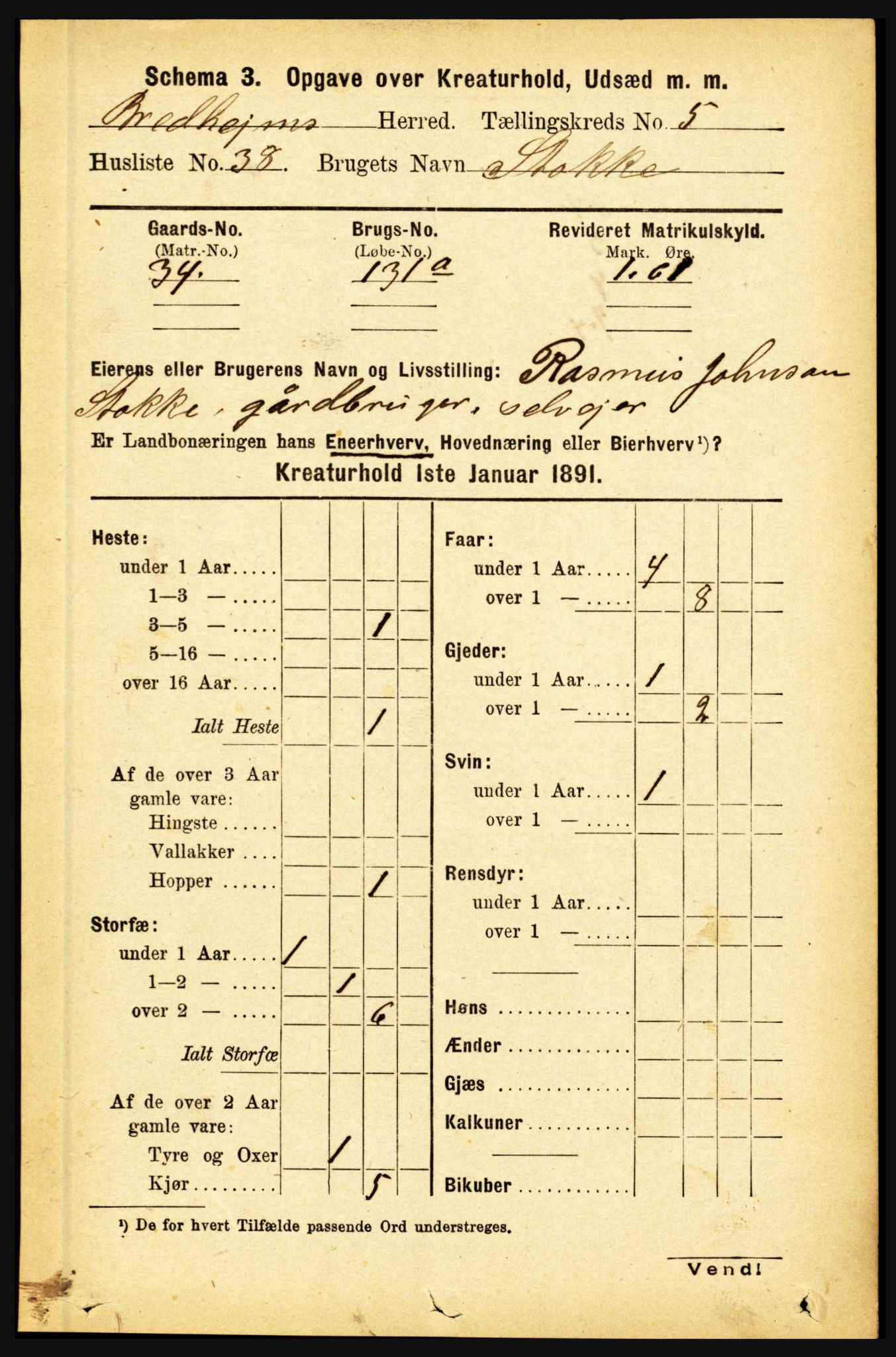 RA, Folketelling 1891 for 1446 Breim herred, 1891, s. 2848