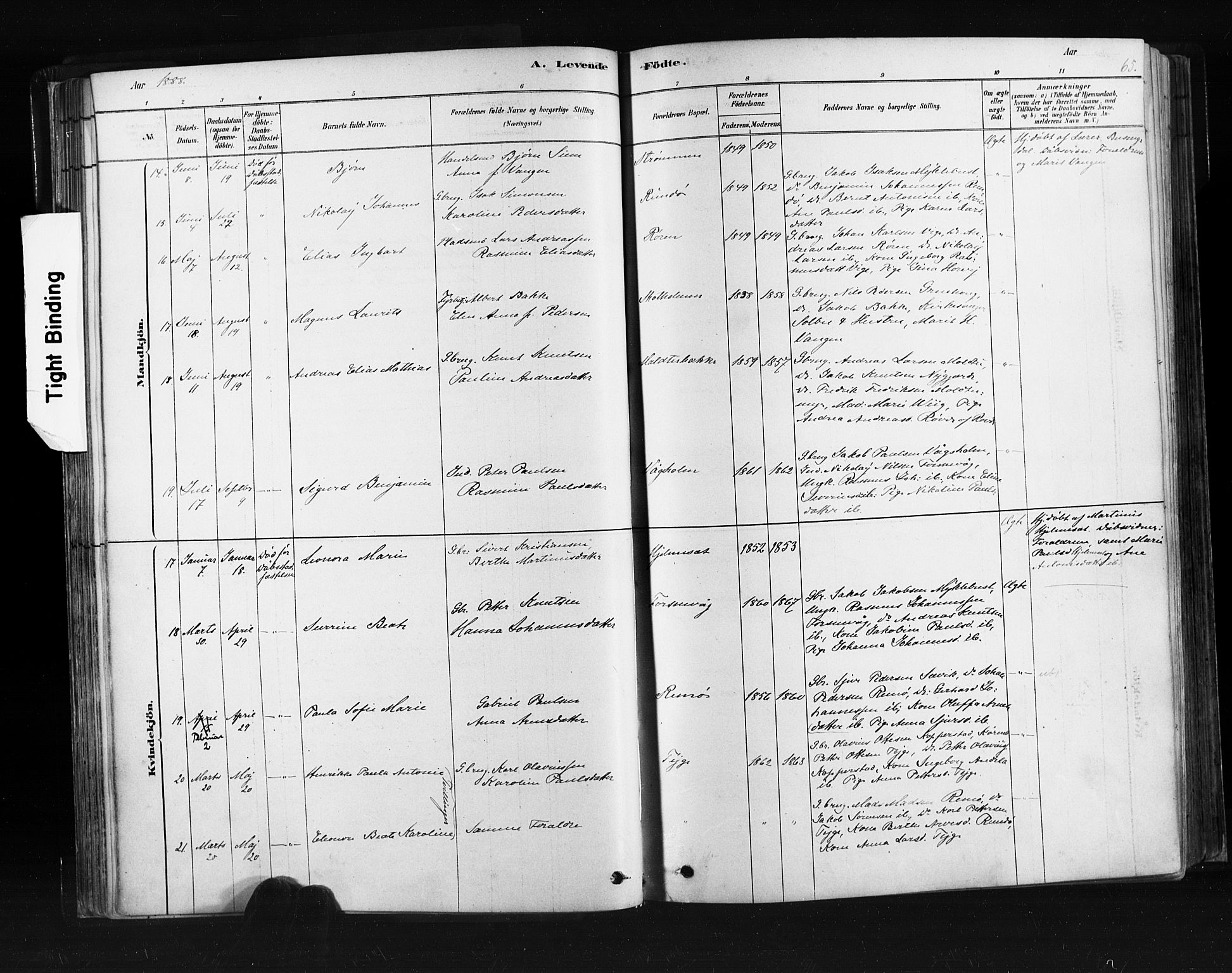 Ministerialprotokoller, klokkerbøker og fødselsregistre - Møre og Romsdal, AV/SAT-A-1454/507/L0073: Ministerialbok nr. 507A08, 1878-1904, s. 65