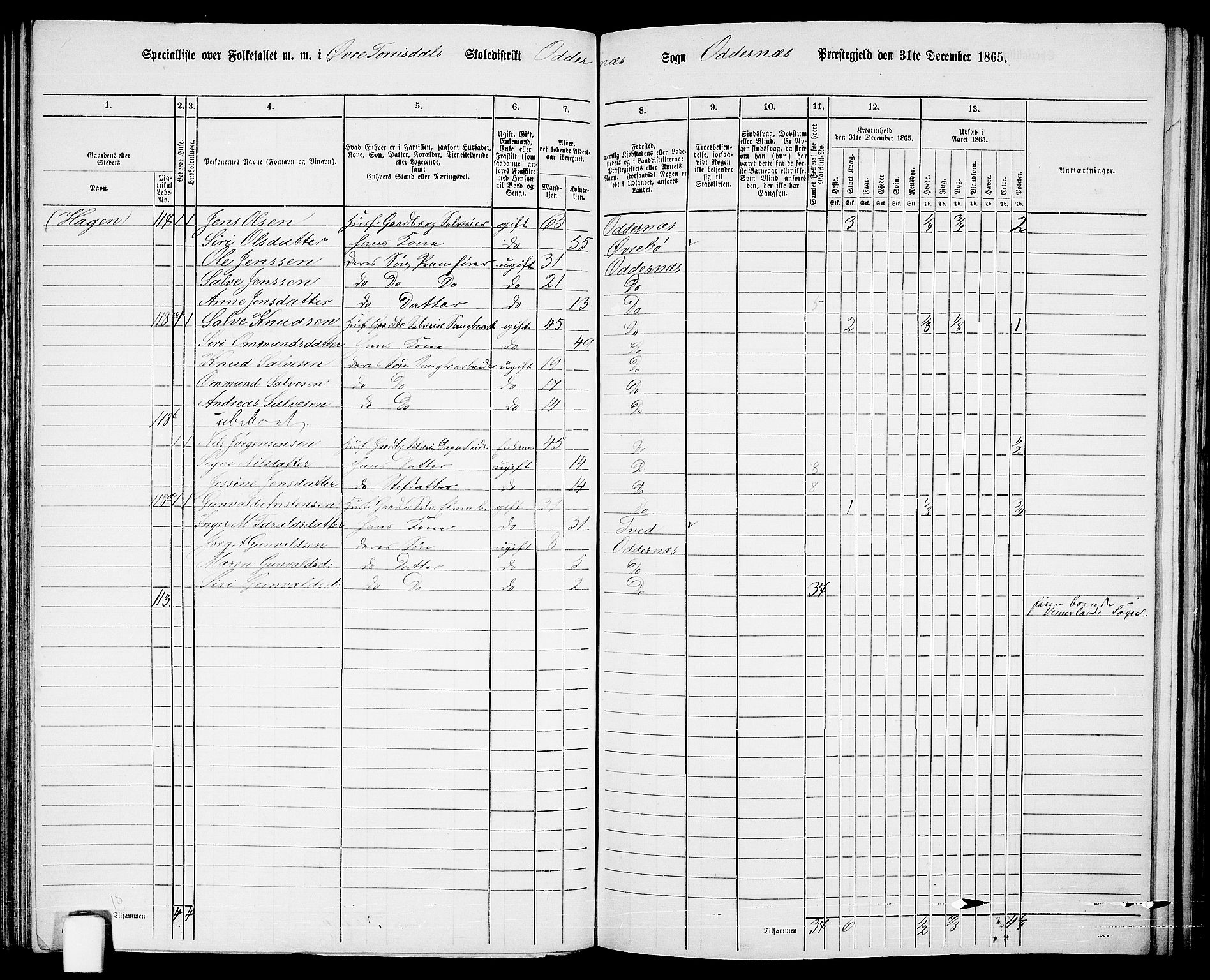 RA, Folketelling 1865 for 1012P Oddernes prestegjeld, 1865, s. 80