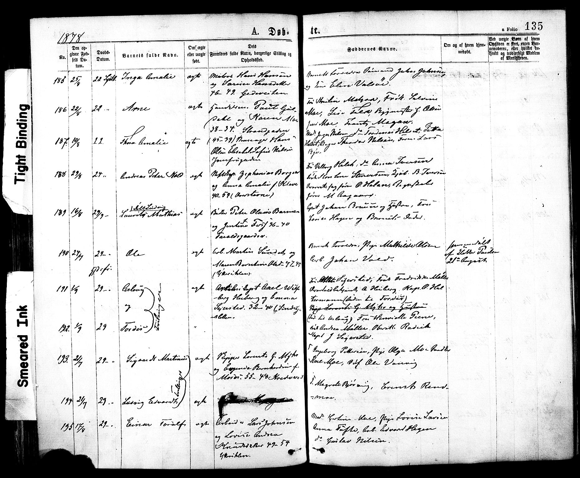 Ministerialprotokoller, klokkerbøker og fødselsregistre - Sør-Trøndelag, AV/SAT-A-1456/602/L0118: Ministerialbok nr. 602A16, 1873-1879, s. 135