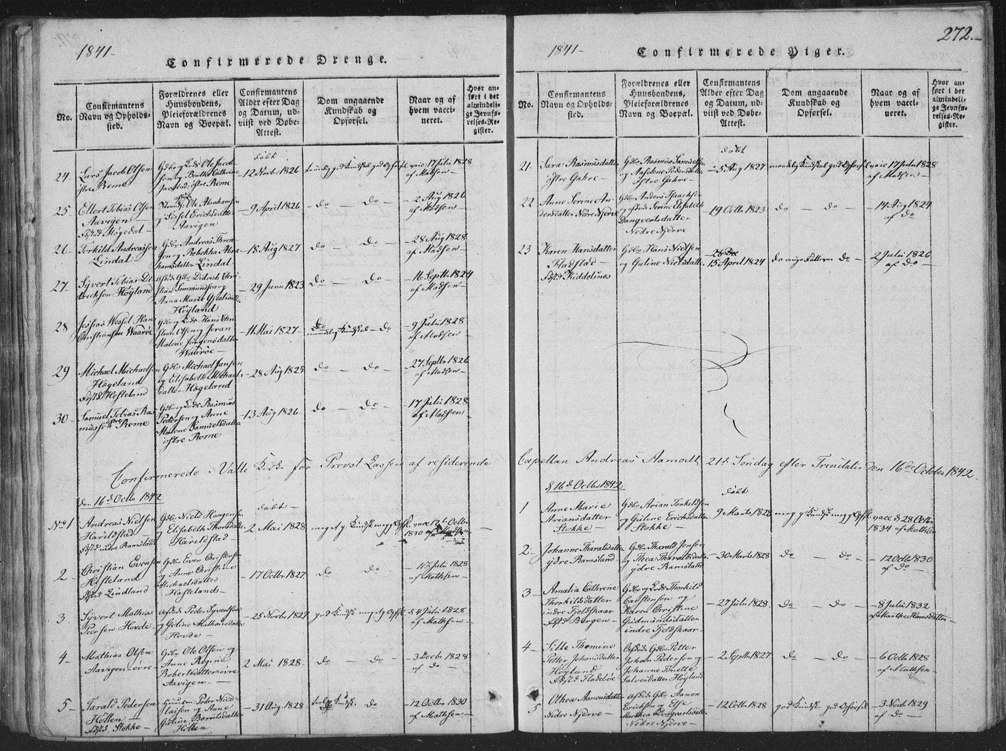 Sør-Audnedal sokneprestkontor, SAK/1111-0039/F/Fa/Faa/L0001: Ministerialbok nr. A 1, 1816-1848, s. 272