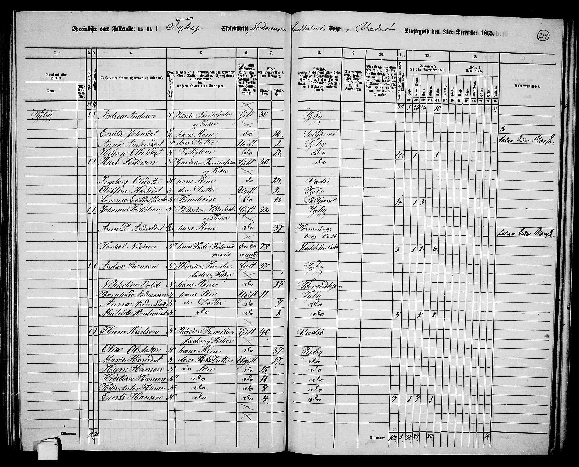 RA, Folketelling 1865 for 2029L Vadsø prestegjeld, Nord-Varanger sokn, 1865, s. 41