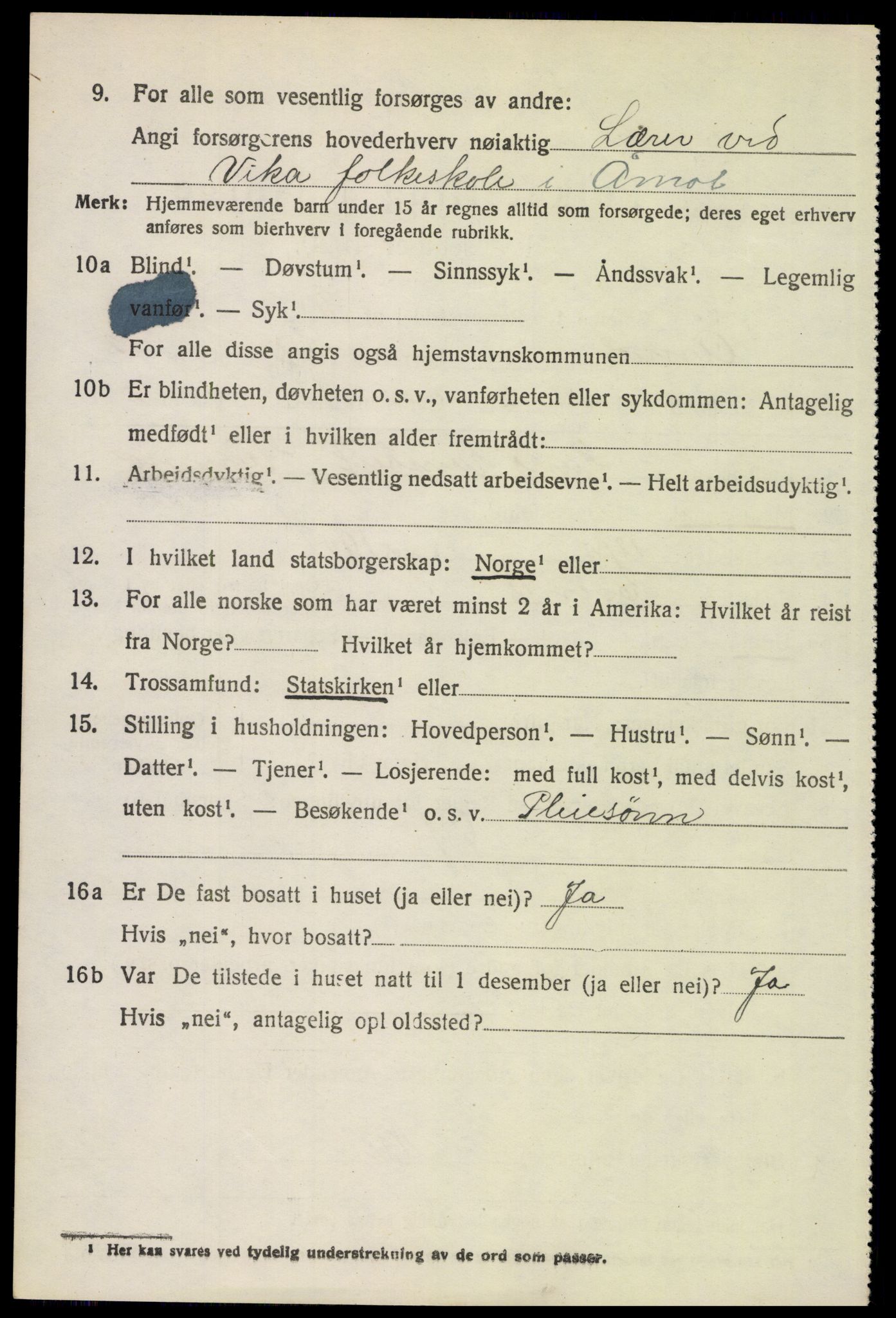 SAH, Folketelling 1920 for 0429 Åmot herred, 1920, s. 9620
