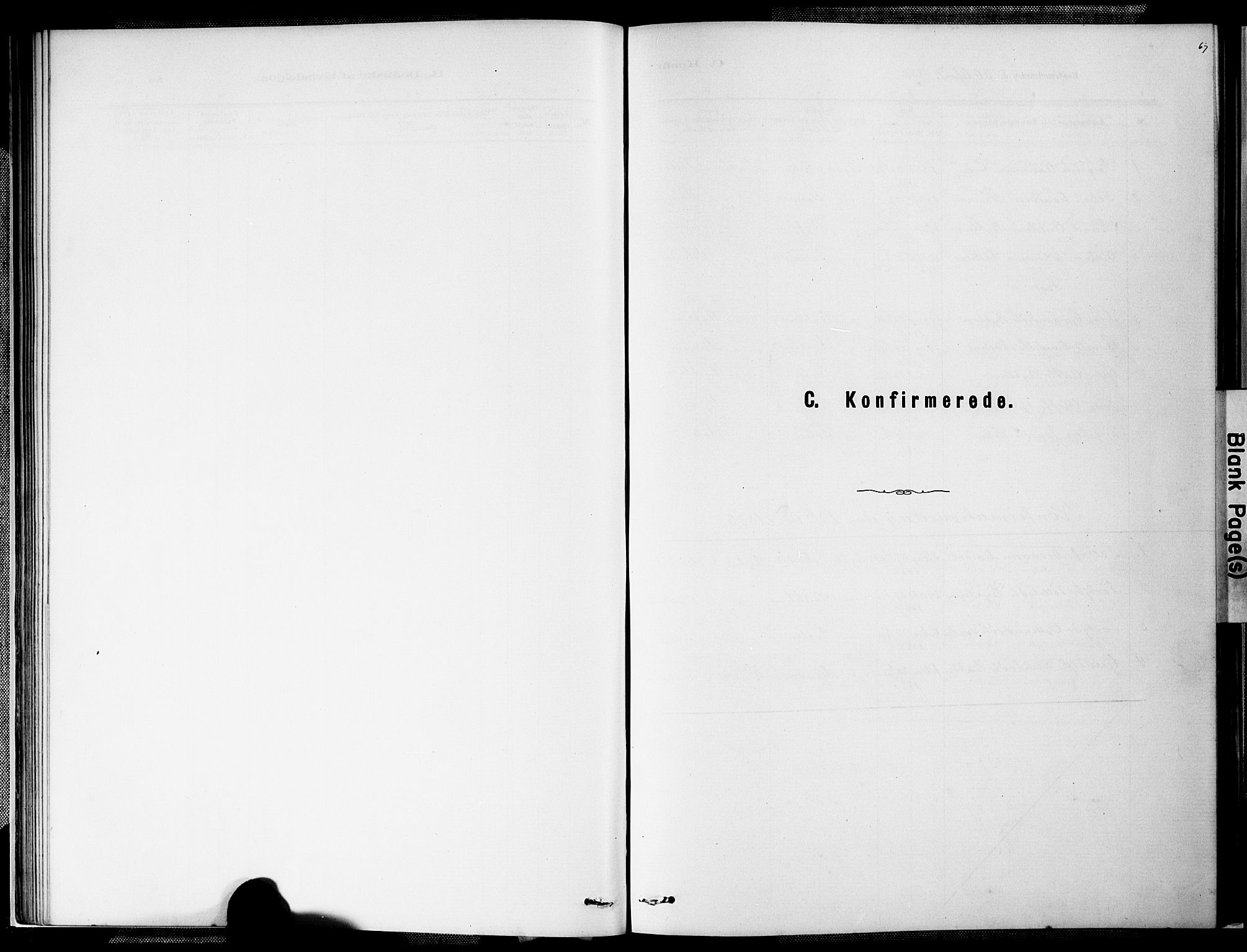 Valle sokneprestkontor, SAK/1111-0044/F/Fa/Faa/L0001: Ministerialbok nr. A 1, 1882-1907, s. 67