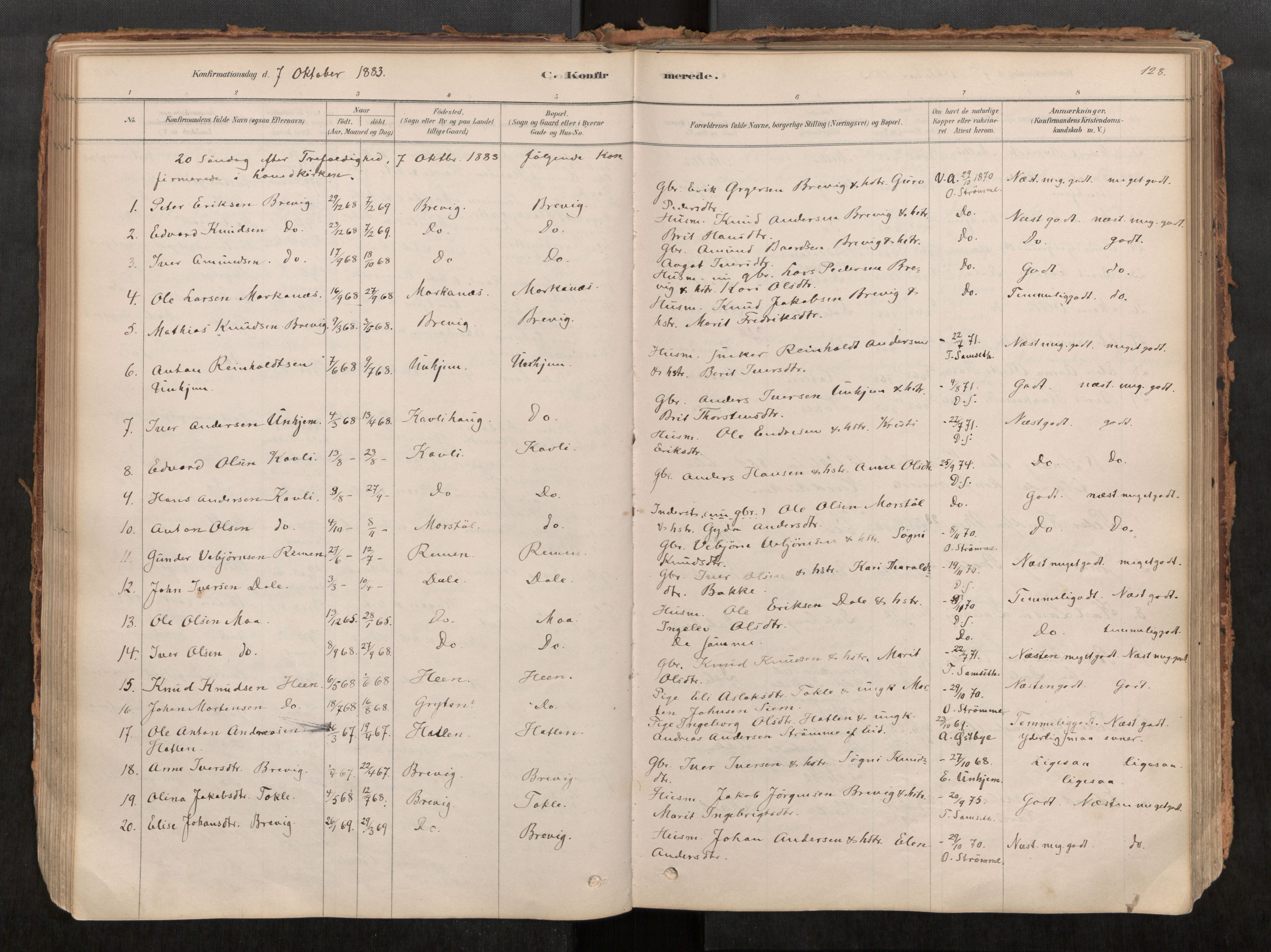 Ministerialprotokoller, klokkerbøker og fødselsregistre - Møre og Romsdal, AV/SAT-A-1454/545/L0594: Ministerialbok nr. 545A03, 1878-1920, s. 128
