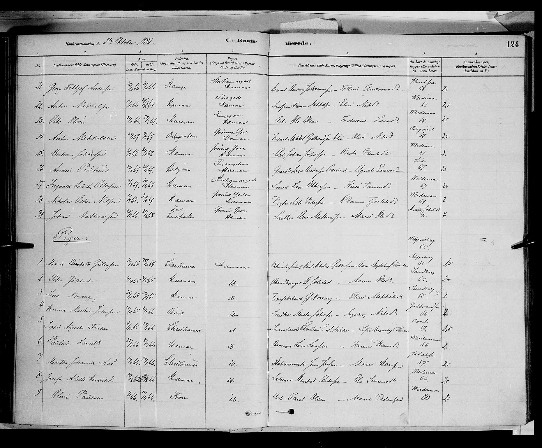 Vang prestekontor, Hedmark, AV/SAH-PREST-008/H/Ha/Haa/L0016: Ministerialbok nr. 16, 1878-1889, s. 124