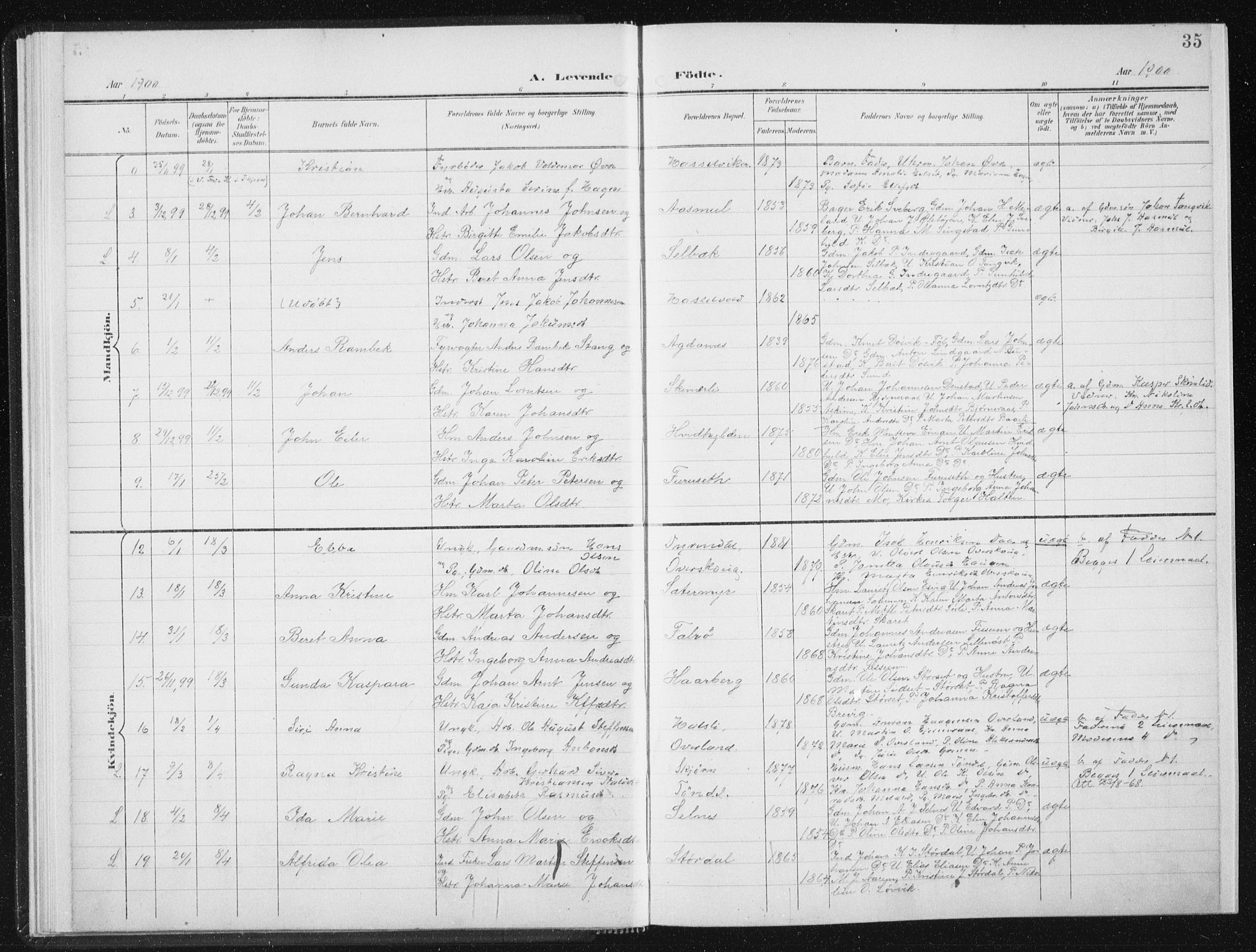 Ministerialprotokoller, klokkerbøker og fødselsregistre - Sør-Trøndelag, SAT/A-1456/647/L0635: Ministerialbok nr. 647A02, 1896-1911, s. 35