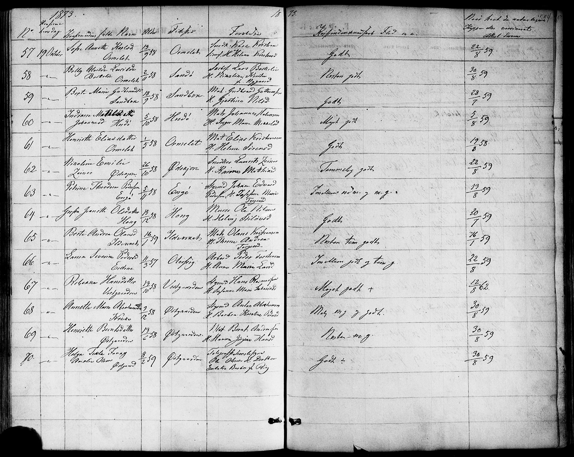 Nøtterøy kirkebøker, AV/SAKO-A-354/F/Fb/L0001: Ministerialbok nr. II 1, 1865-1878, s. 224