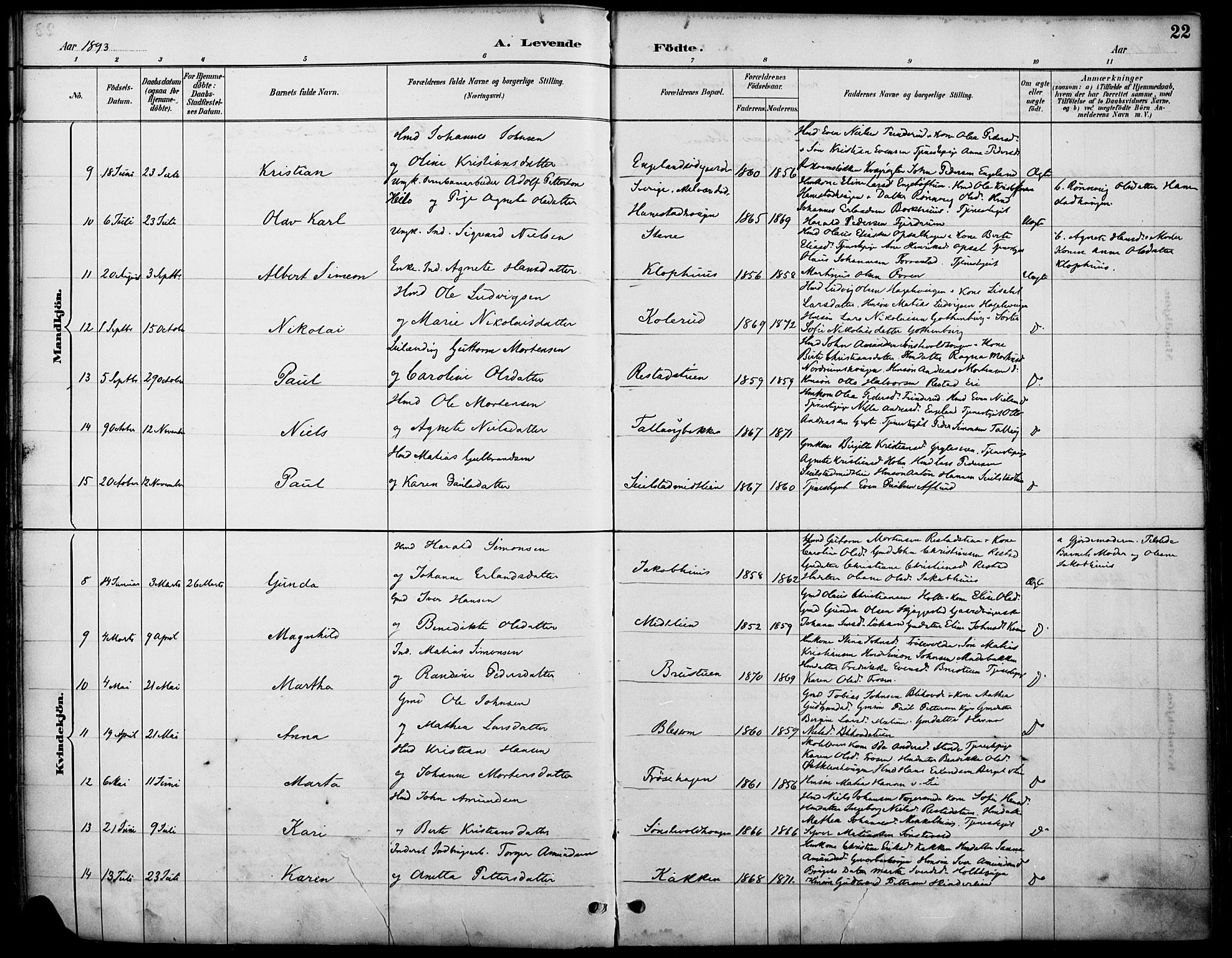 Østre Gausdal prestekontor, AV/SAH-PREST-092/H/Ha/Haa/L0002: Ministerialbok nr. 2, 1887-1897, s. 22