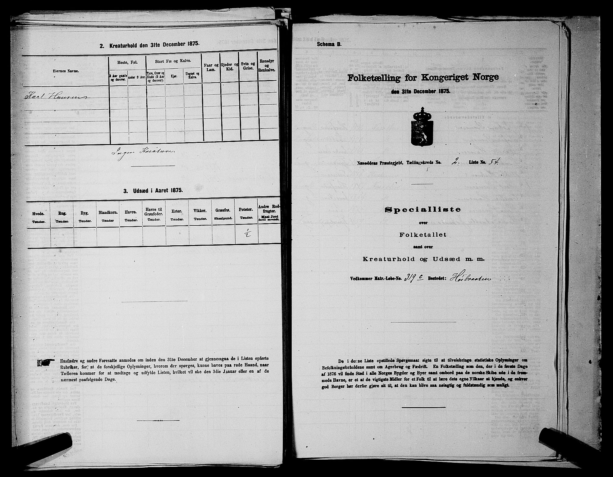 RA, Folketelling 1875 for 0216P Nesodden prestegjeld, 1875, s. 411